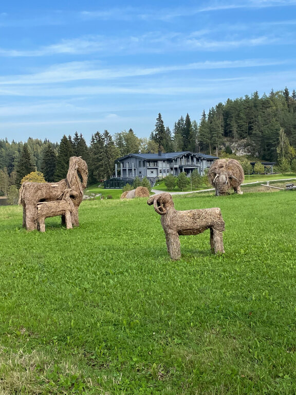 Фото Ладожская усадьба