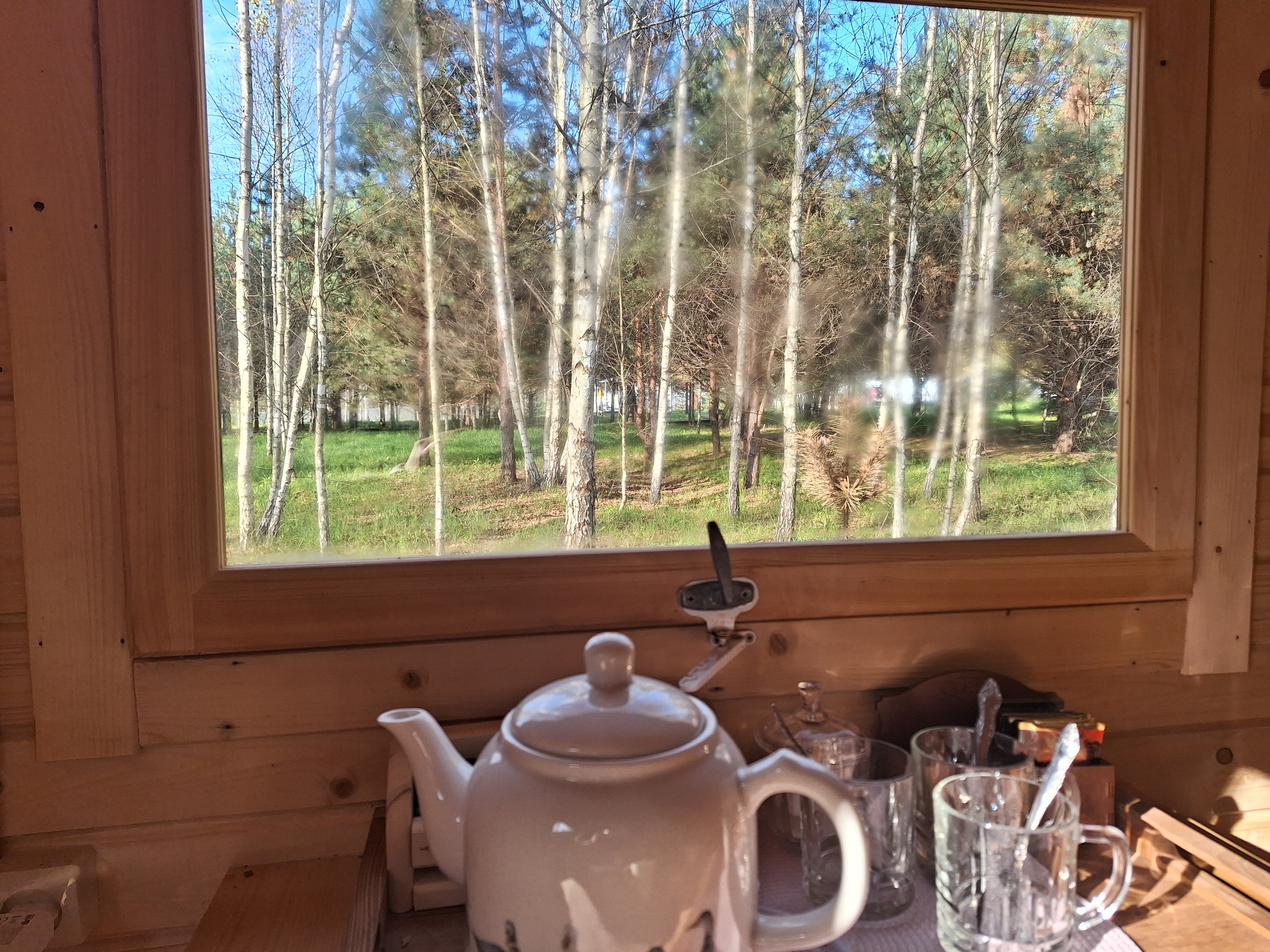 Фото Дыши лесом