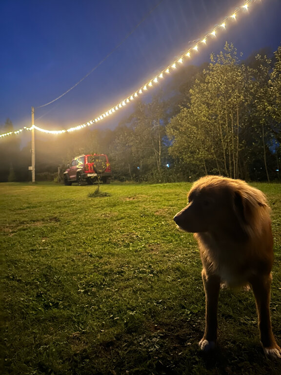 Фото Лес и луга