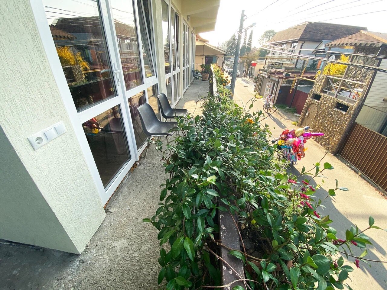 Фото Диковинка Сочи