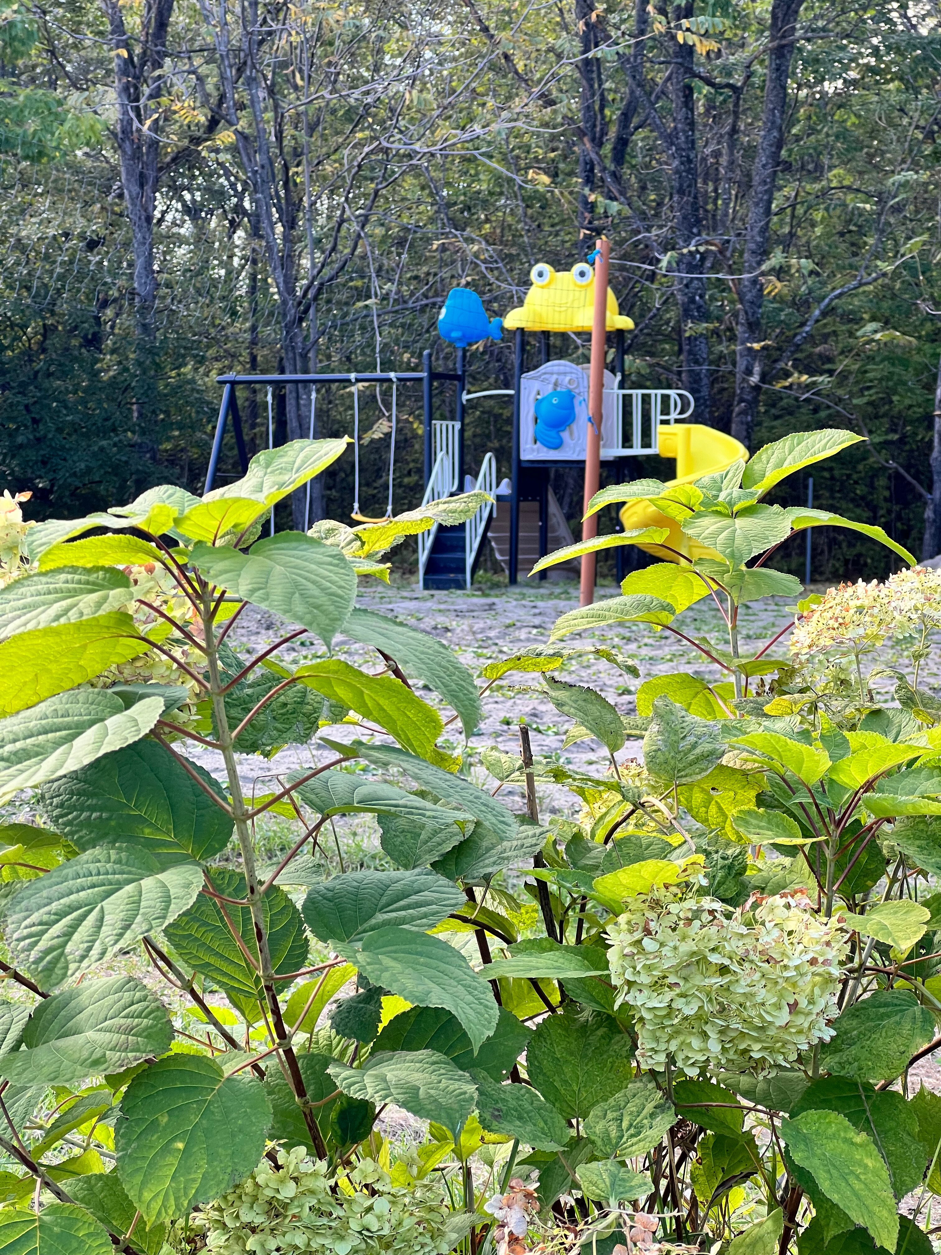 Фото Сплавной участок