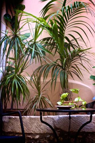 Фото Casa dei Delfini