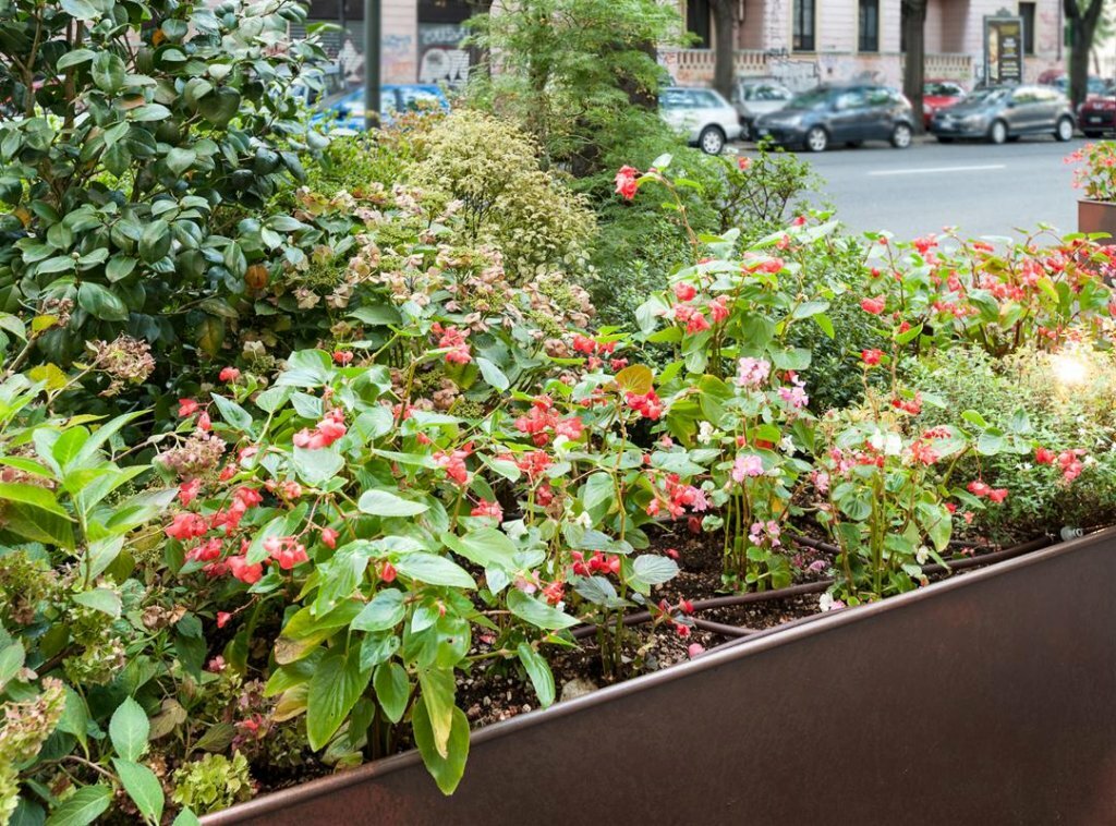 Фото Hotel Lombardia