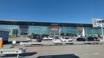 Khoroshiye Novosti (Novosibirsk Region, Airport Novosibirsk (Tolmachevo) named after A. Pokryshkin) ، محلات بيع الصحف