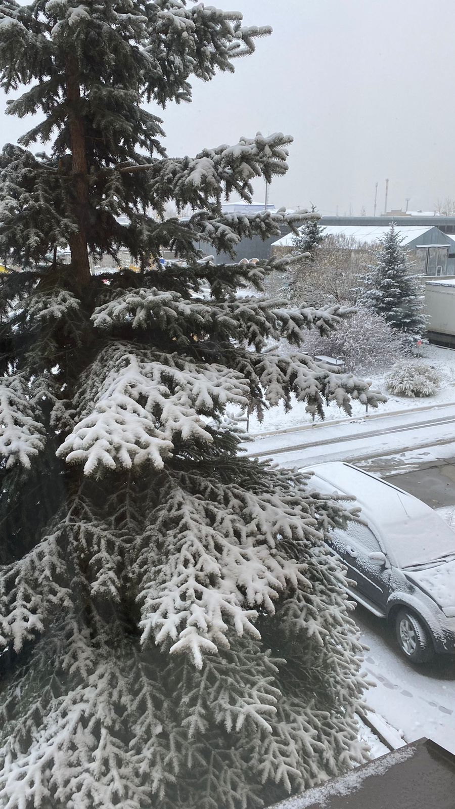 Фото Регион 59