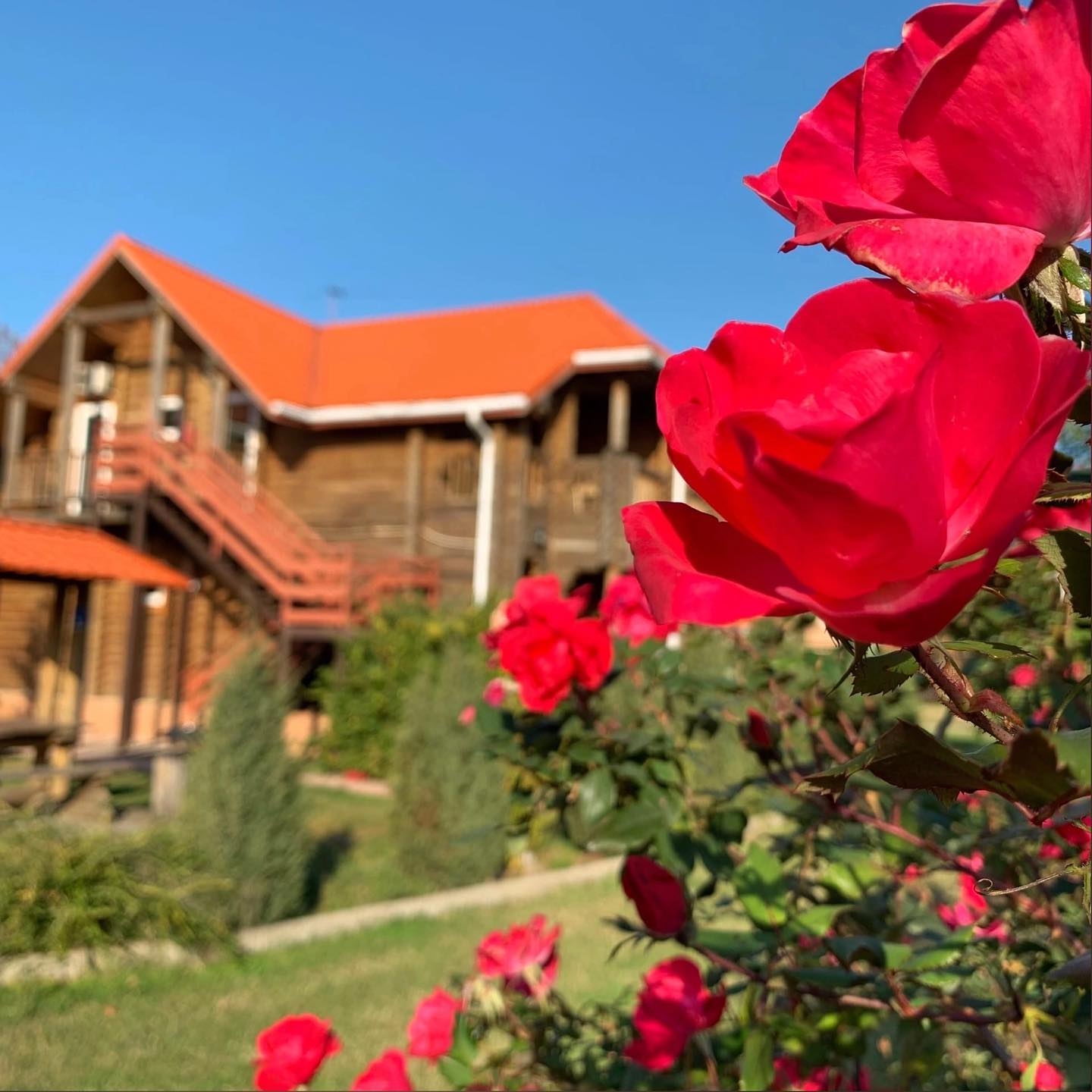 Фото Озеро Дивное