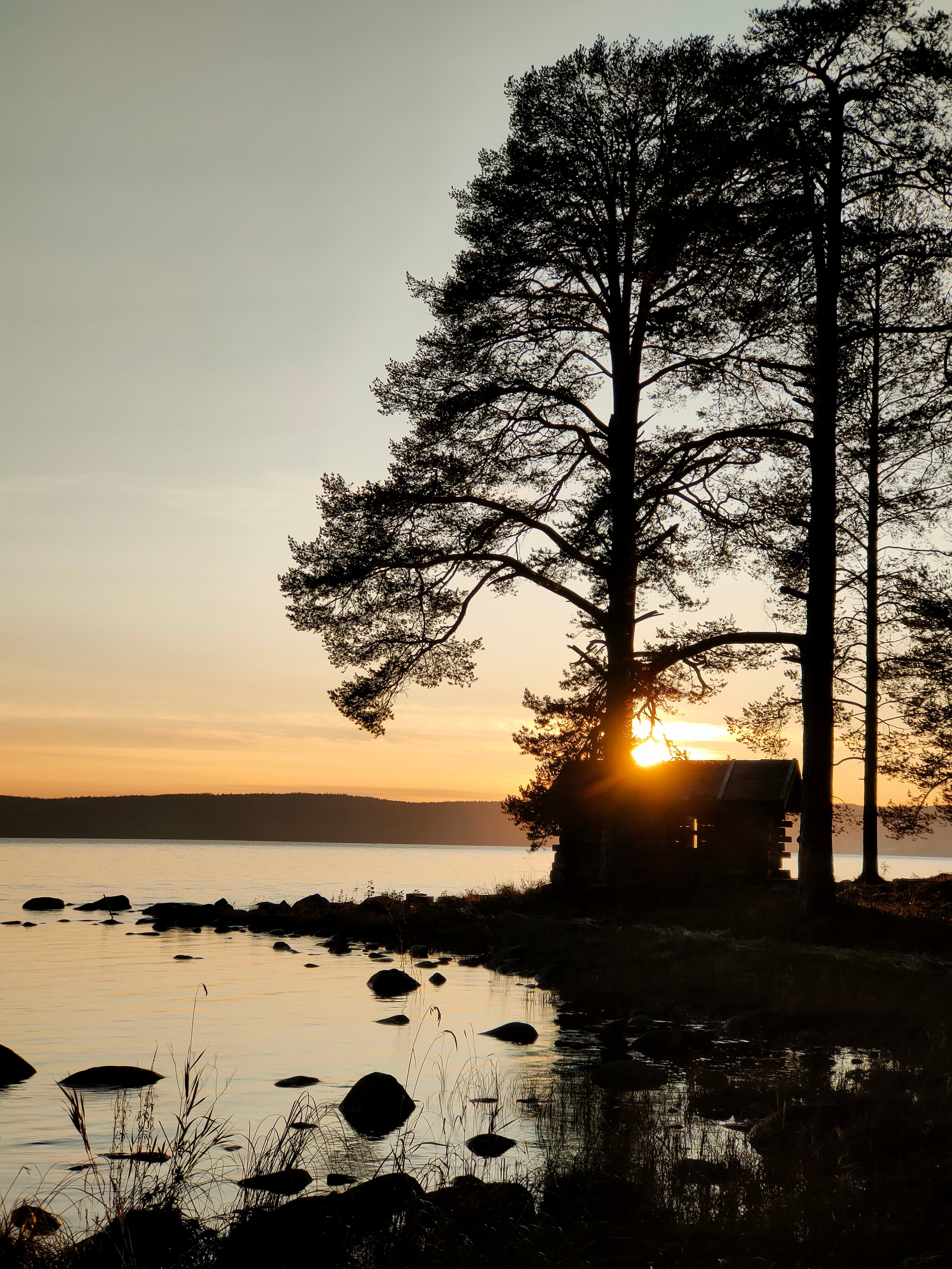 Фото Медвежья Ривьера