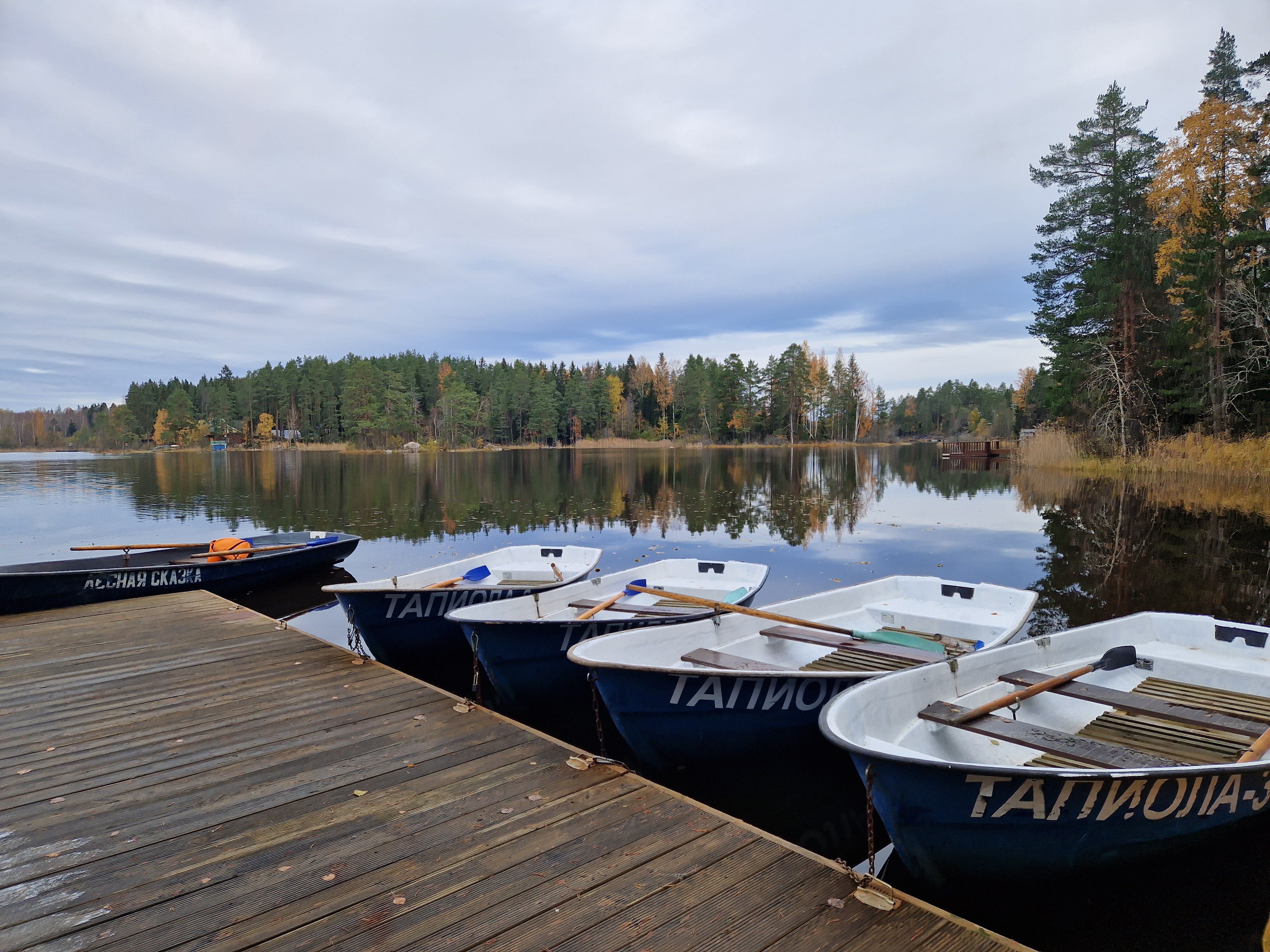 Фото Тапиола