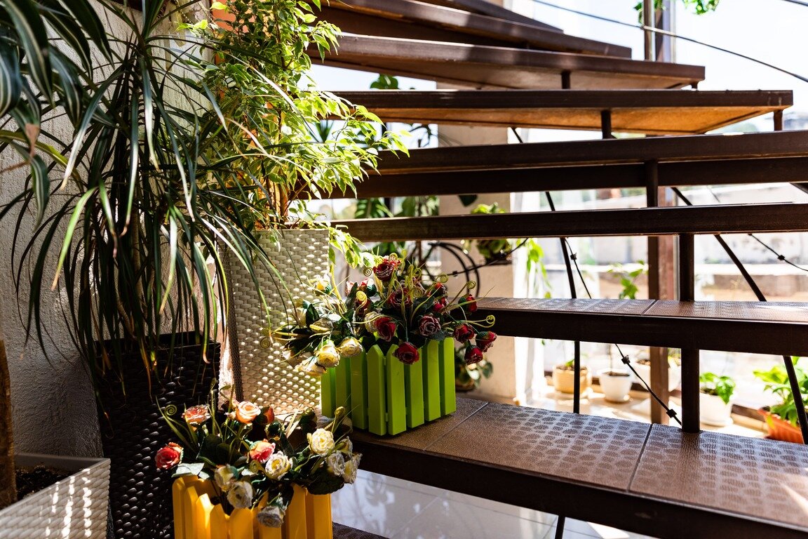 Фото Звездный