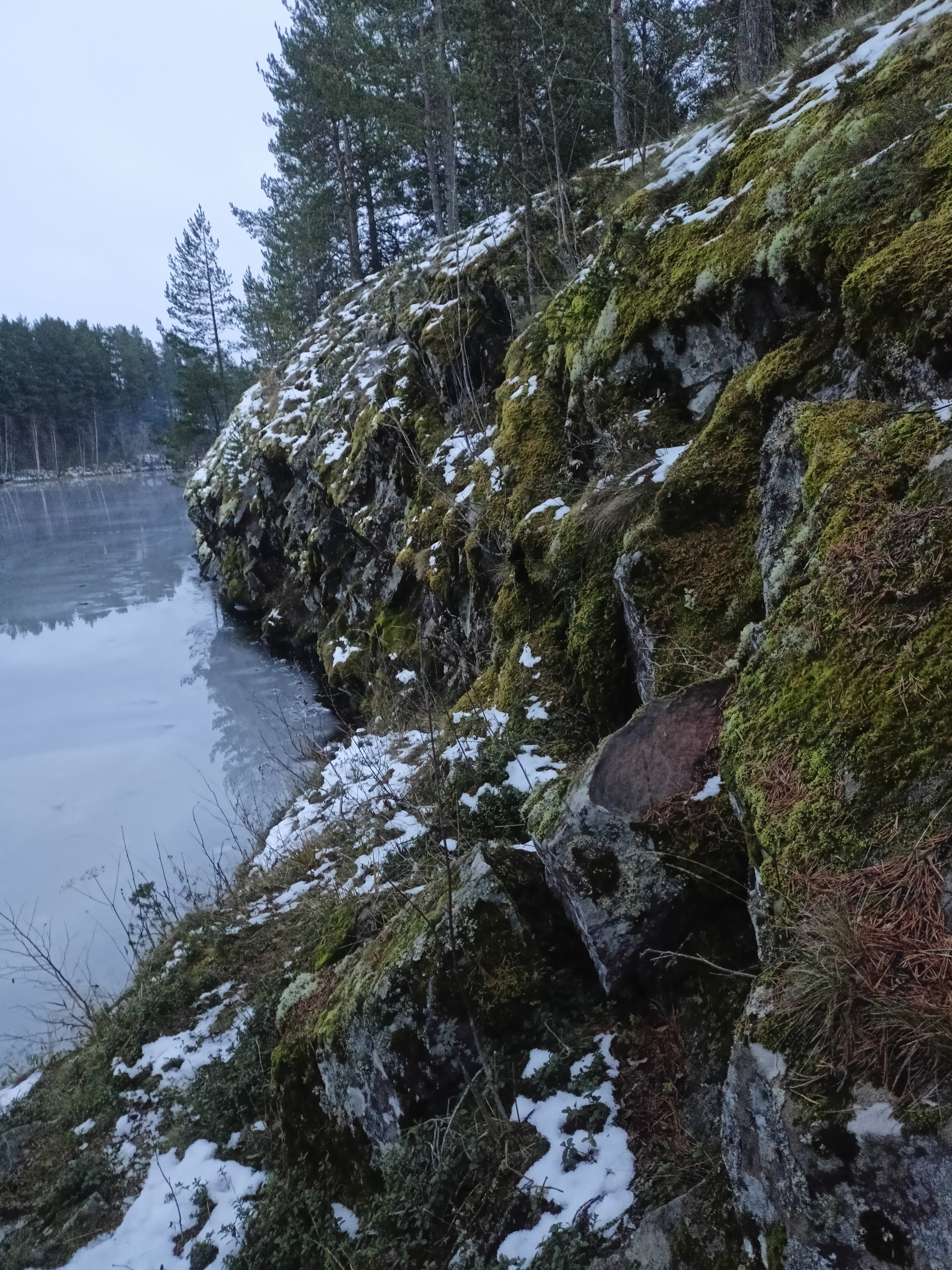 Фото Территория уюта