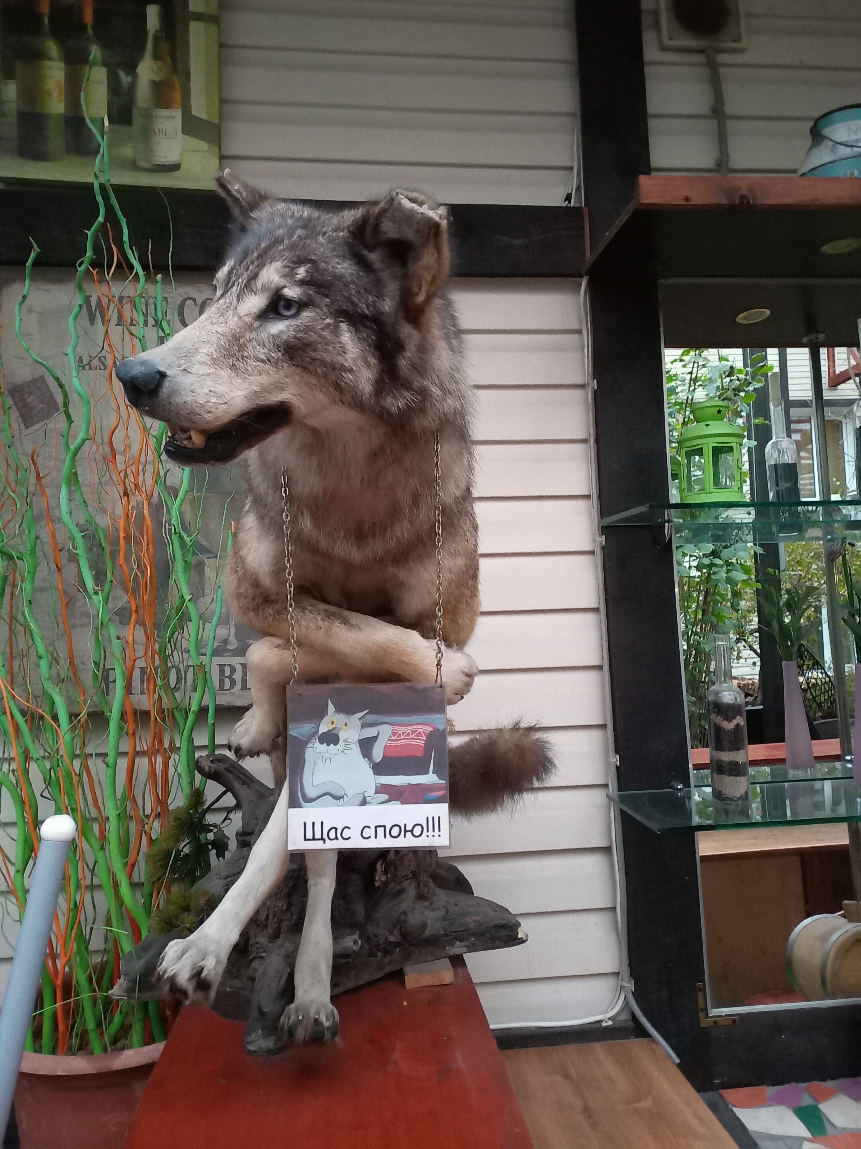 Фото Дом учёных