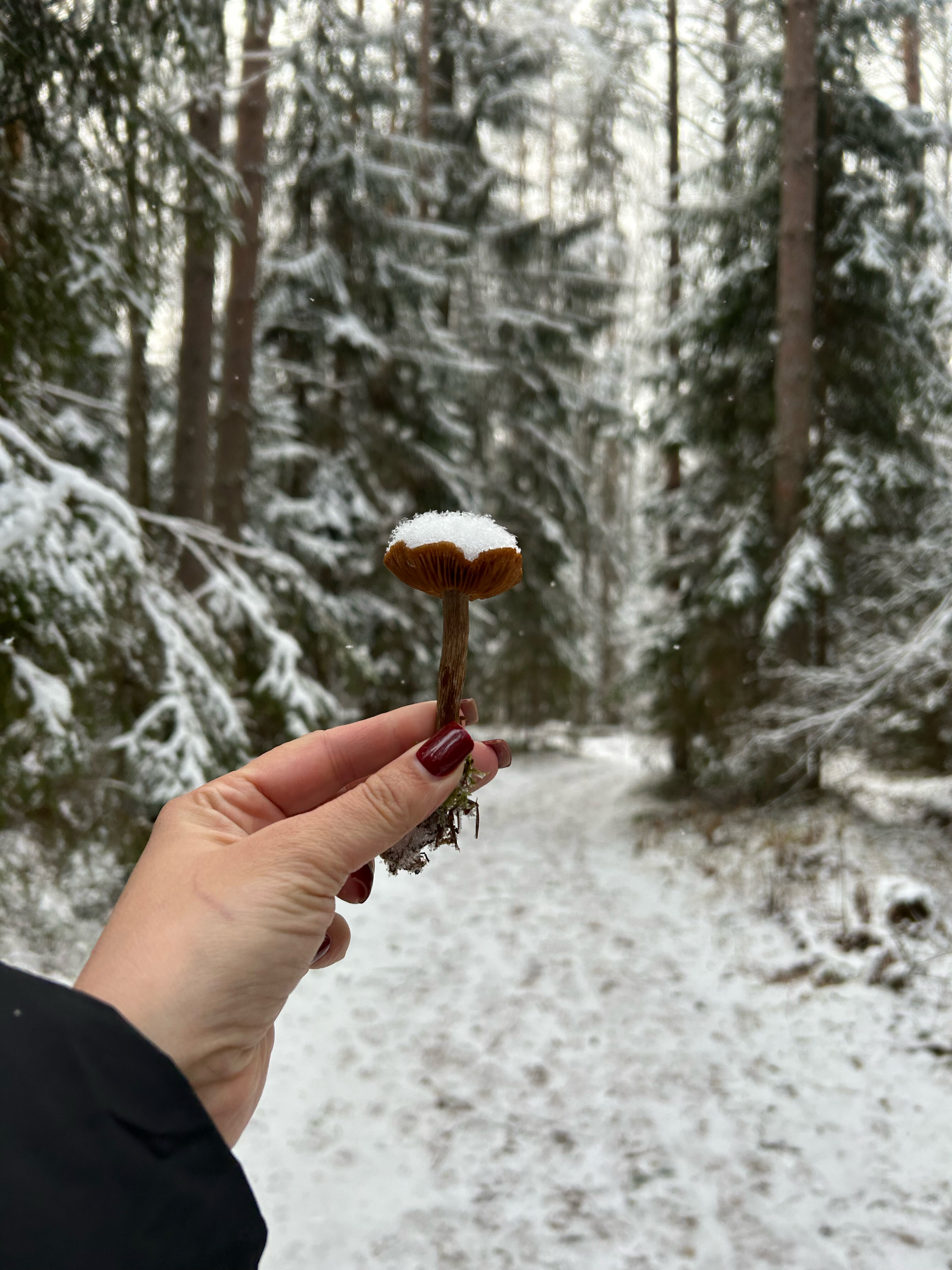 Фото Пикник 2.0