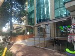 Rainbow fox (Tsentralniy Microdistrict, Moskovskaya Street, 10) ، مدرسة الفنون