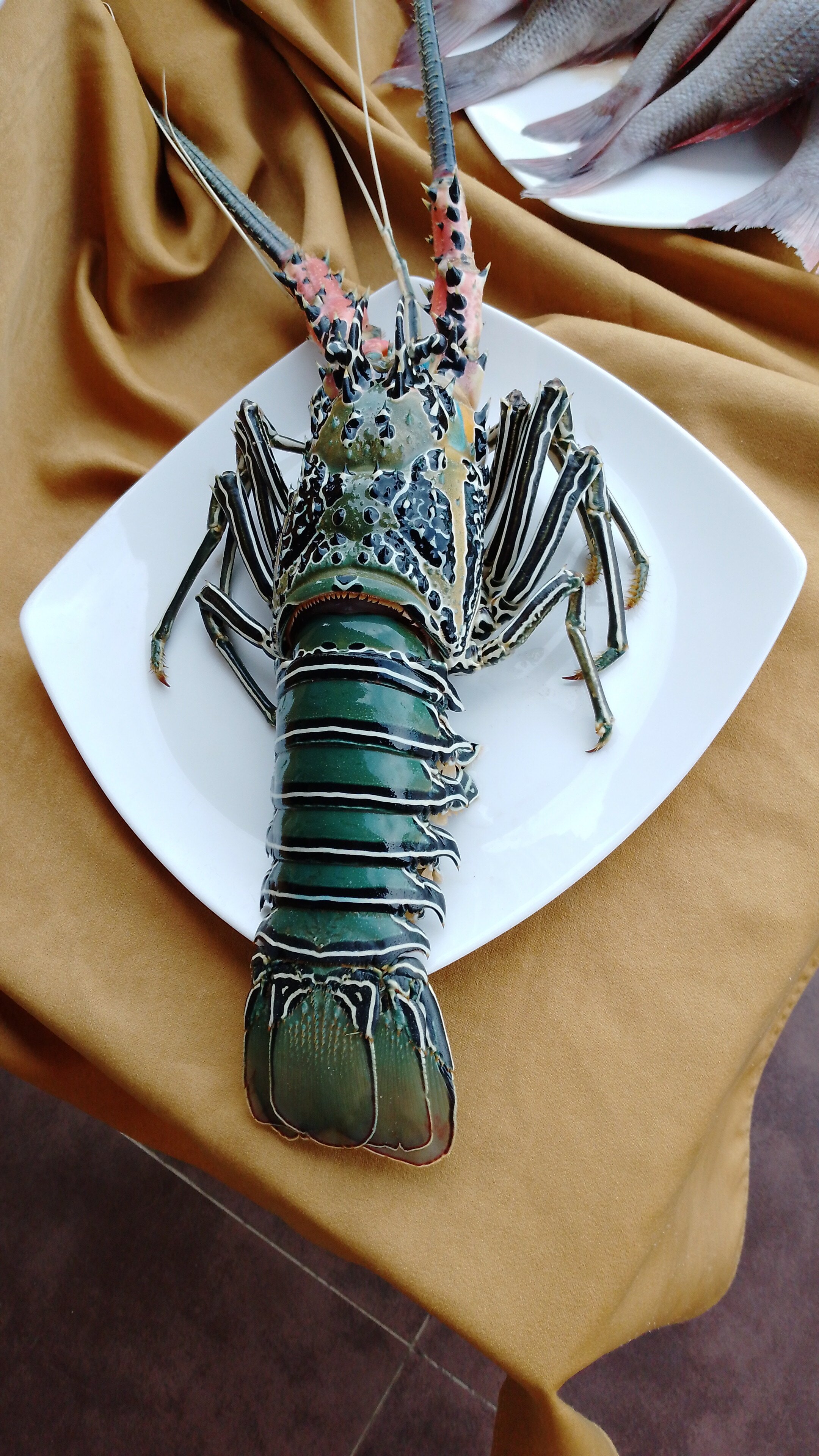 Фото Sooriya Resort & SPA