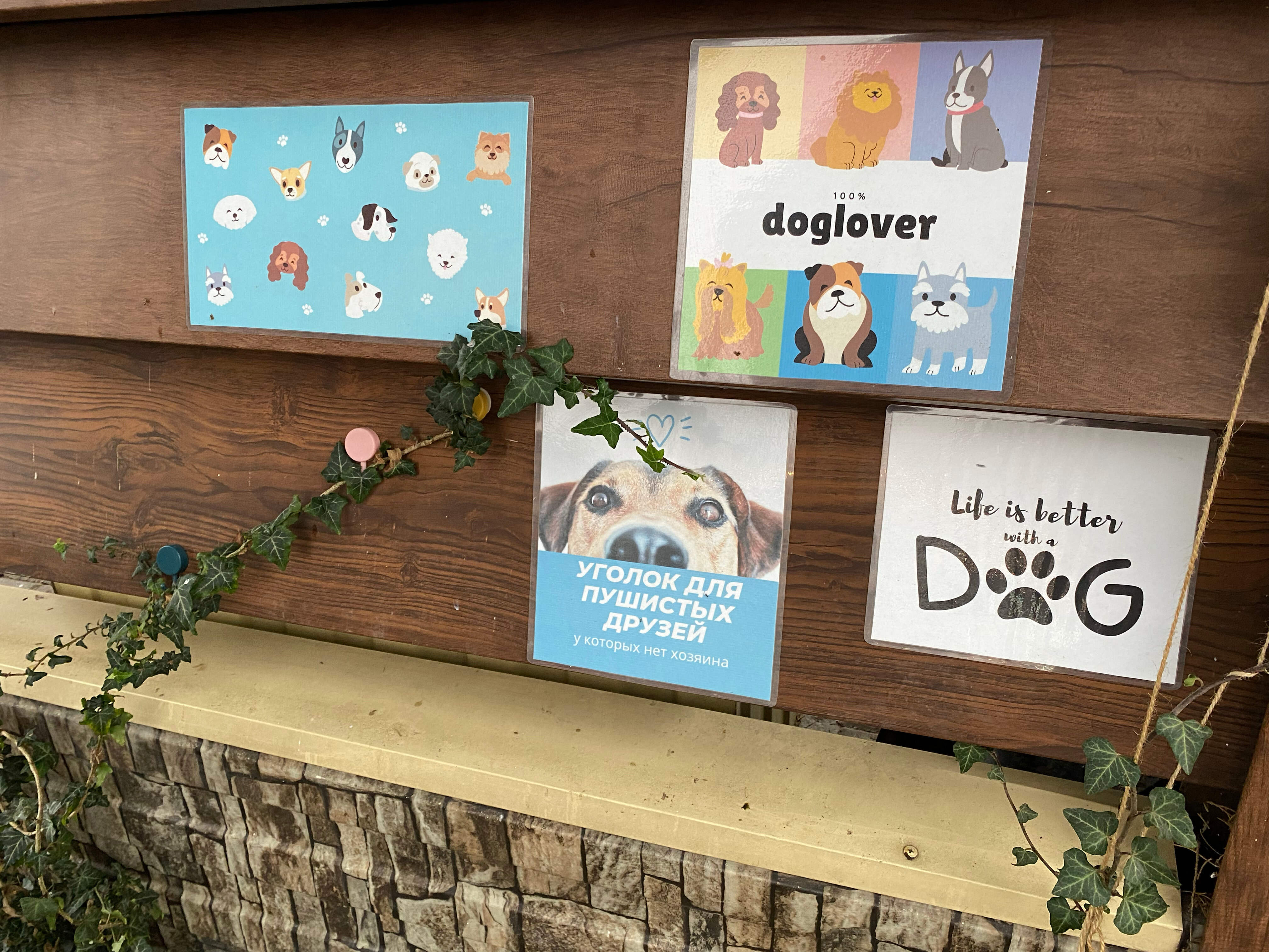 Фото Фигурный