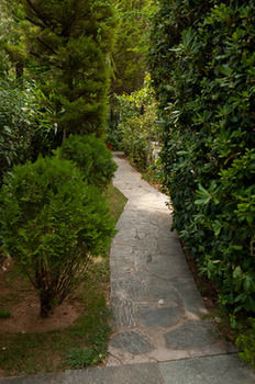 Фото Urban Residence