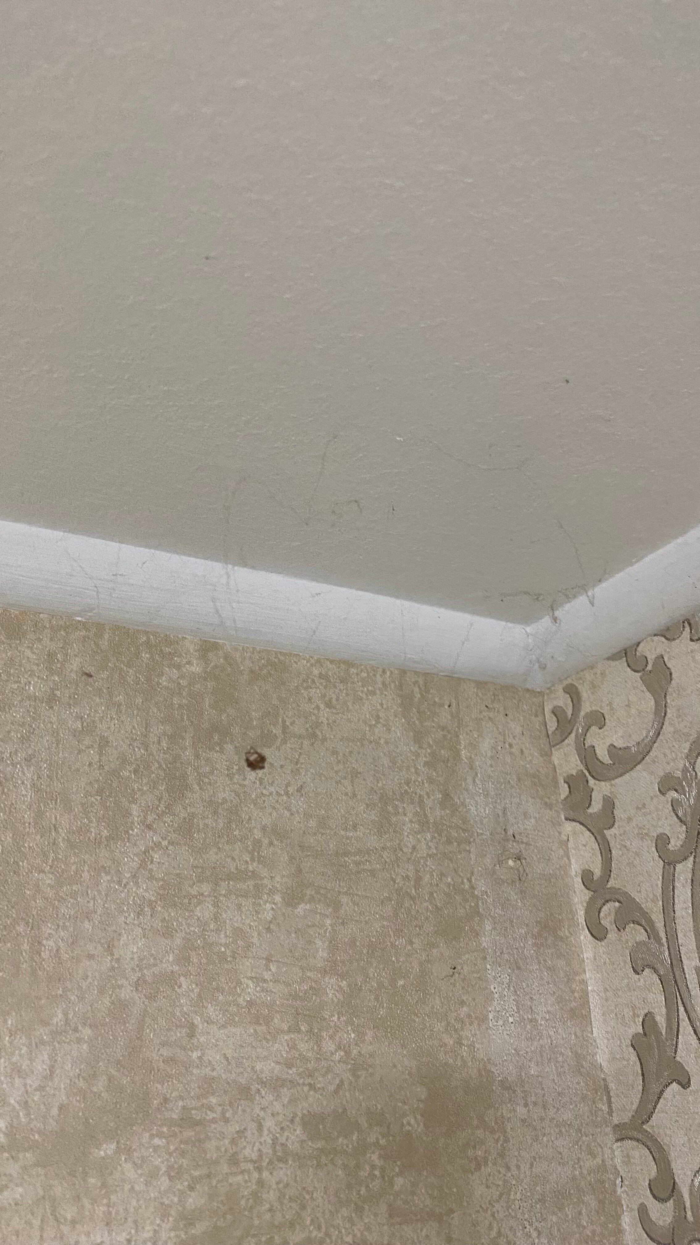 Фото Ханака на 1 я улица Энтузиастов 12А