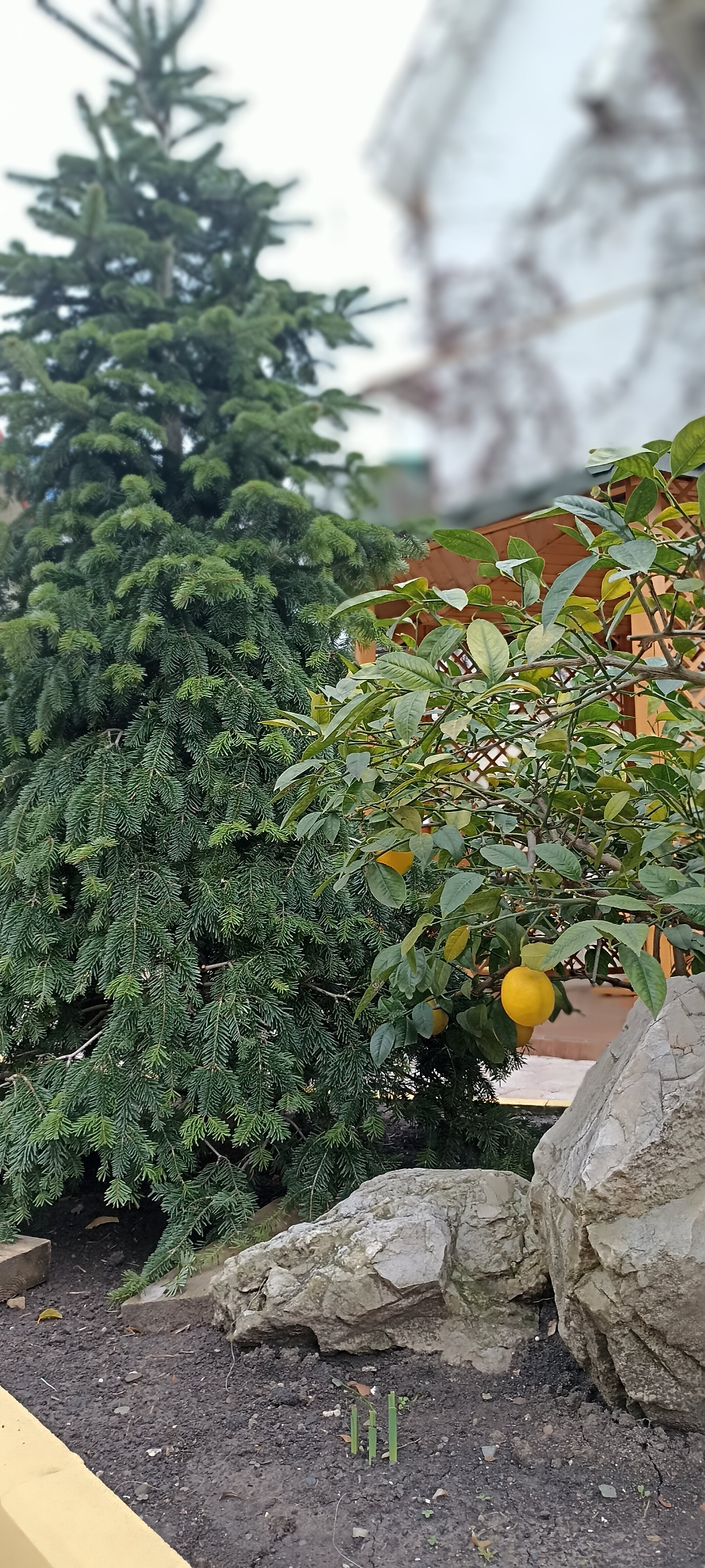 Фото Река и Море