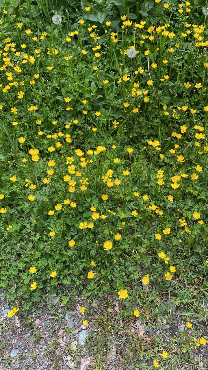 Фото Архыз и точка