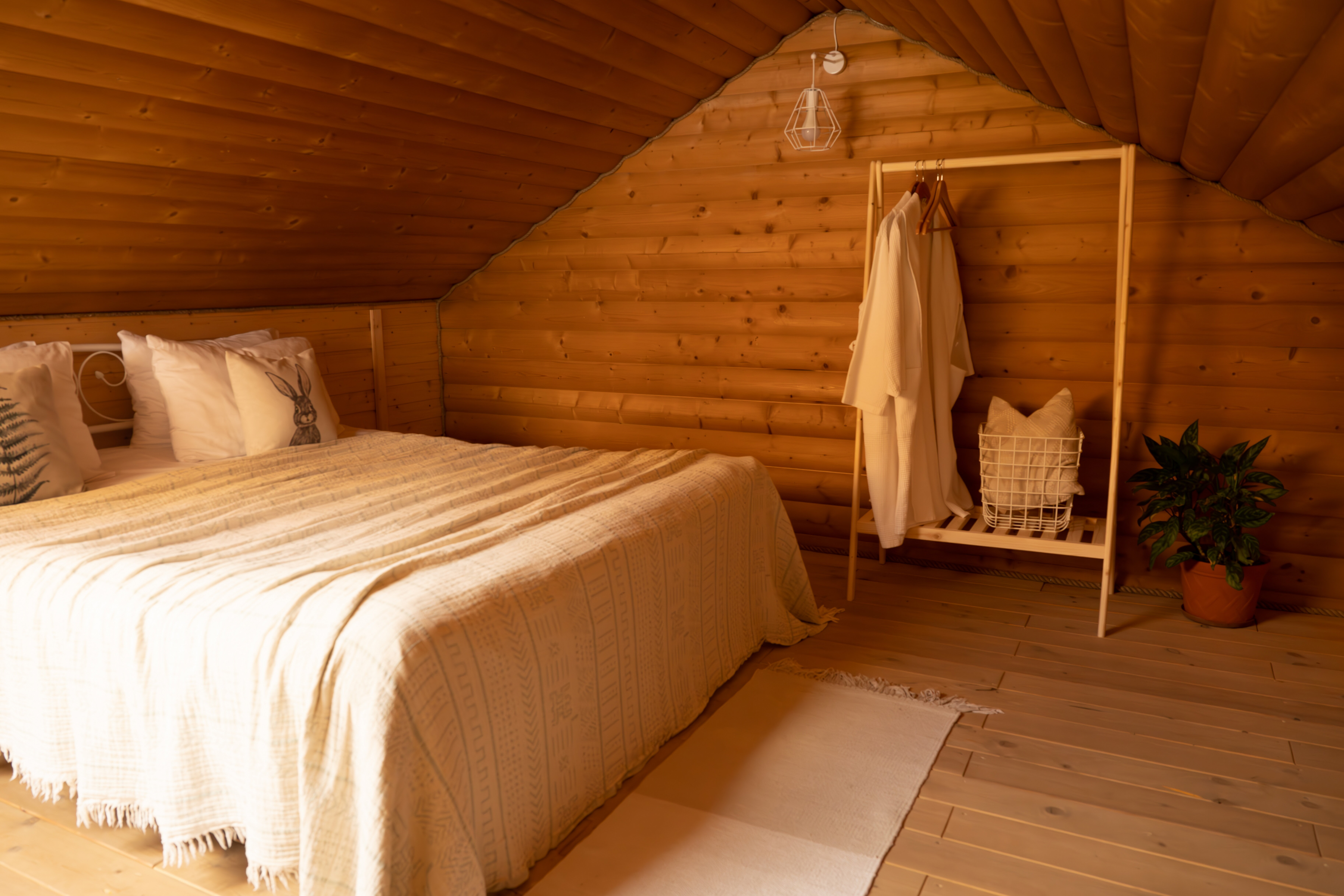 Фото Холки camp