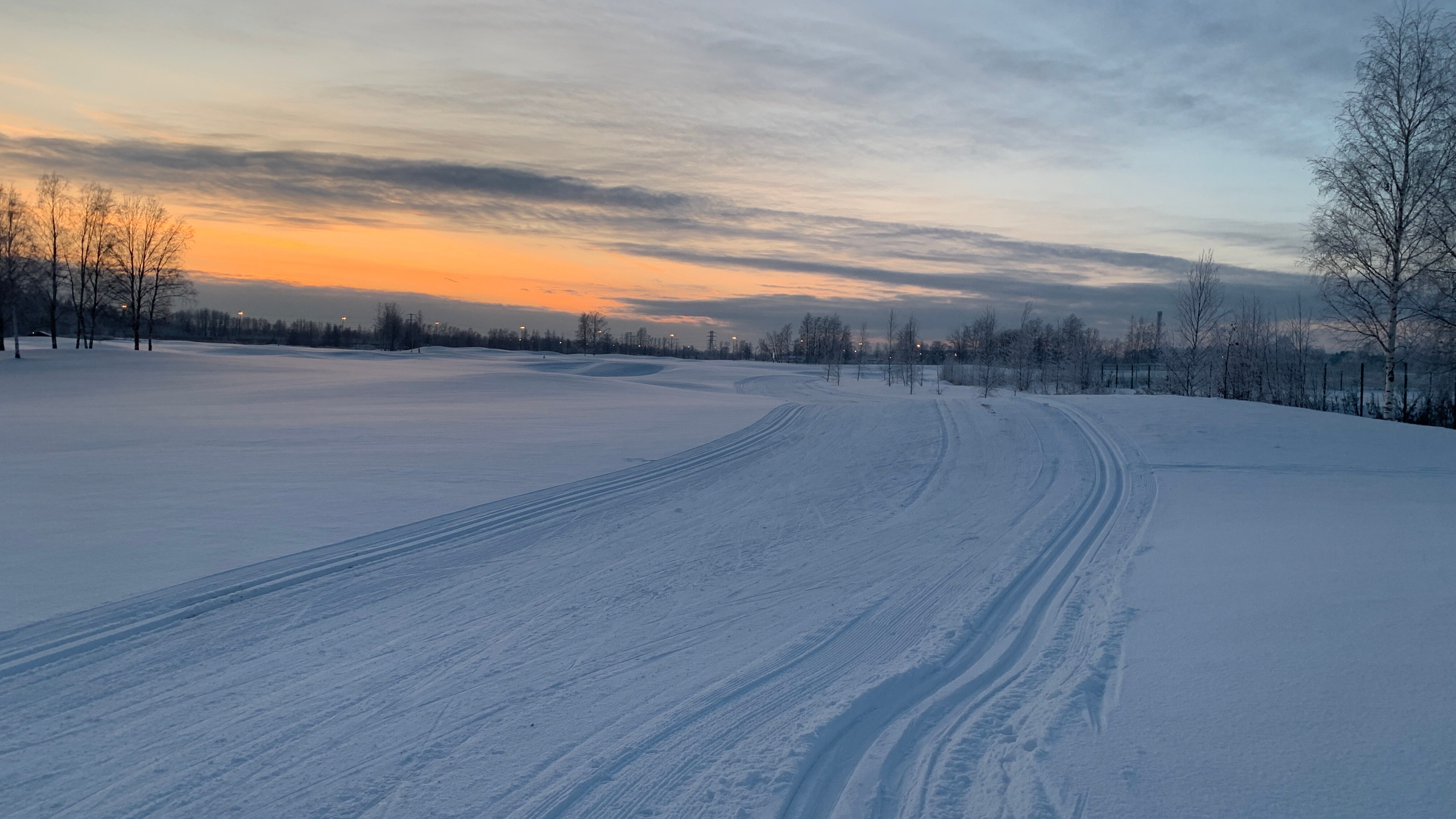 Фото Земляничные Поляны