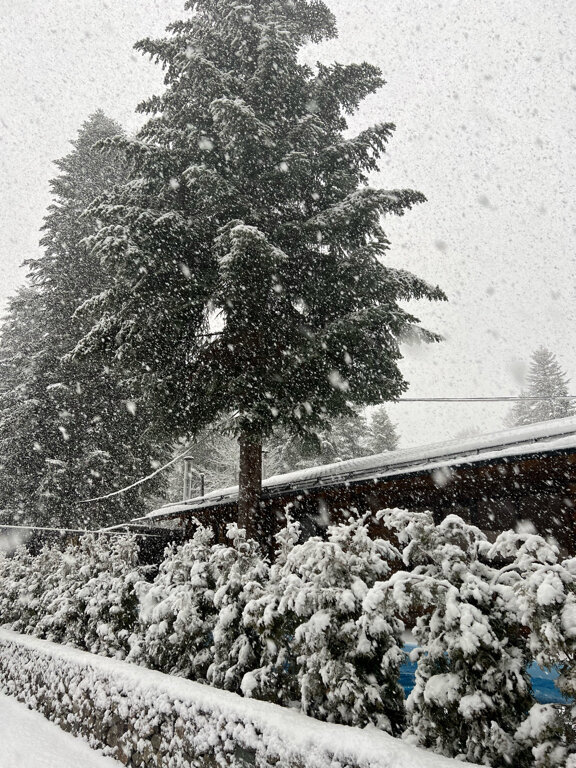 Фото Mount Arkhyz