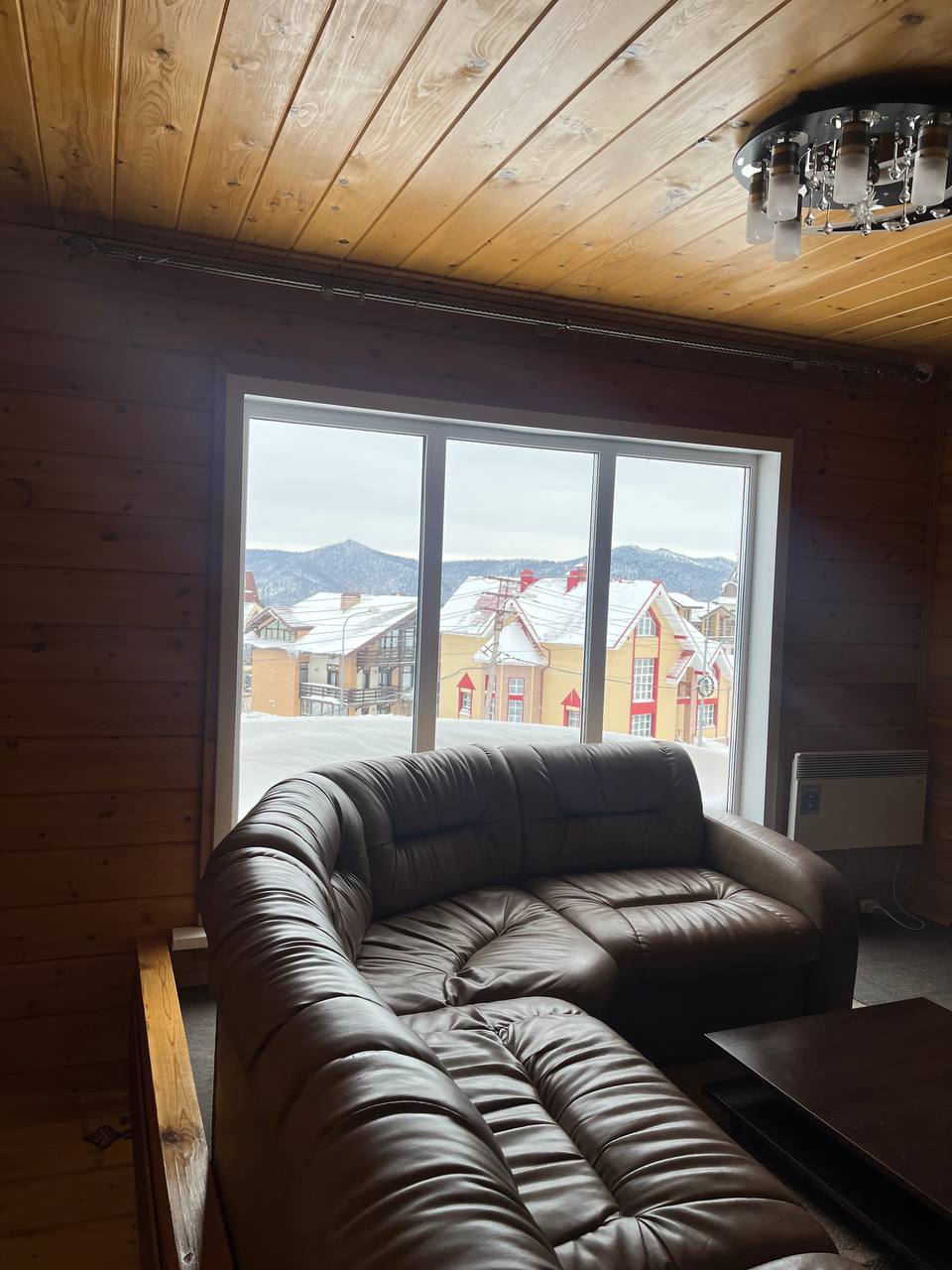 Фото Медведица