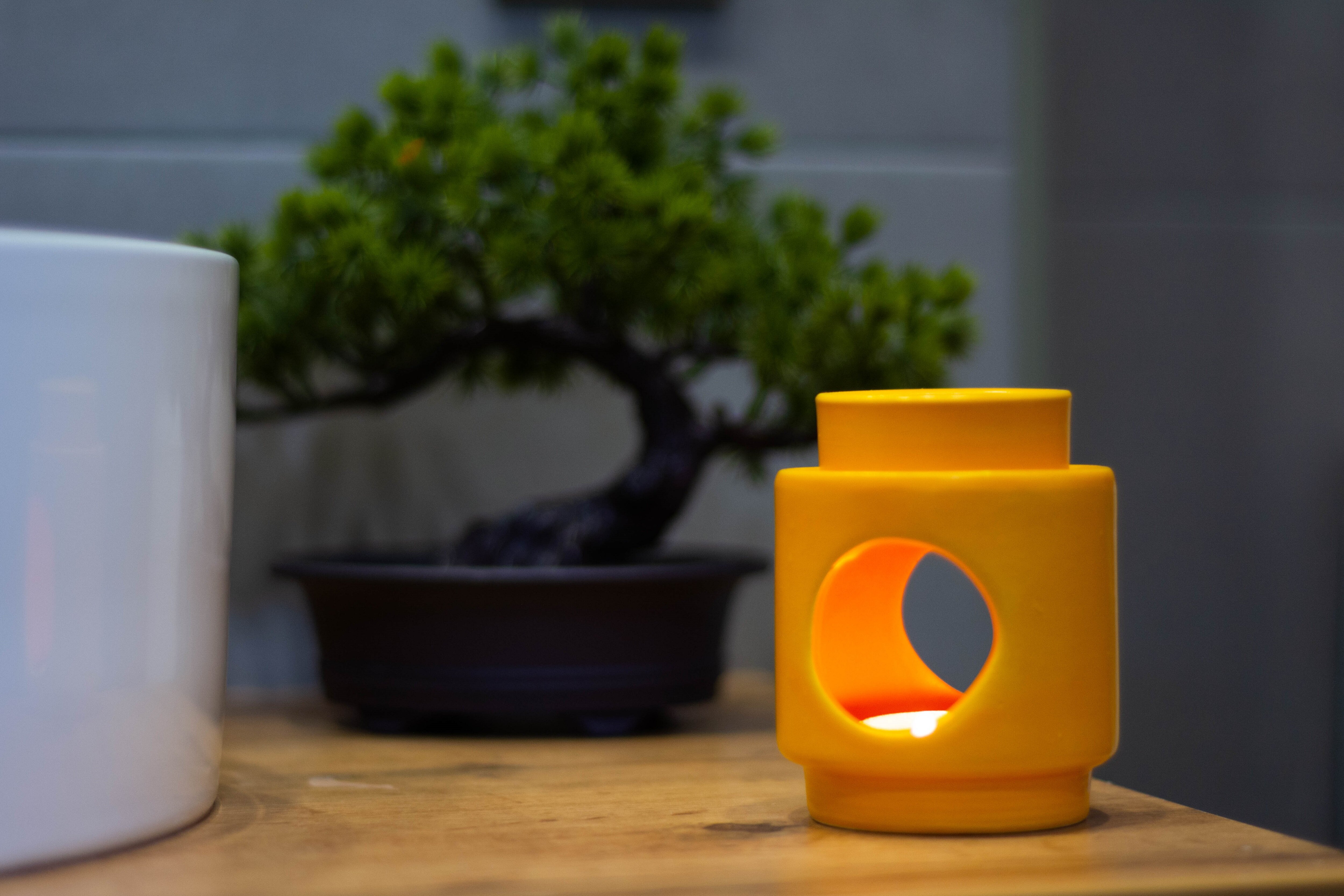 Фото Лермонт