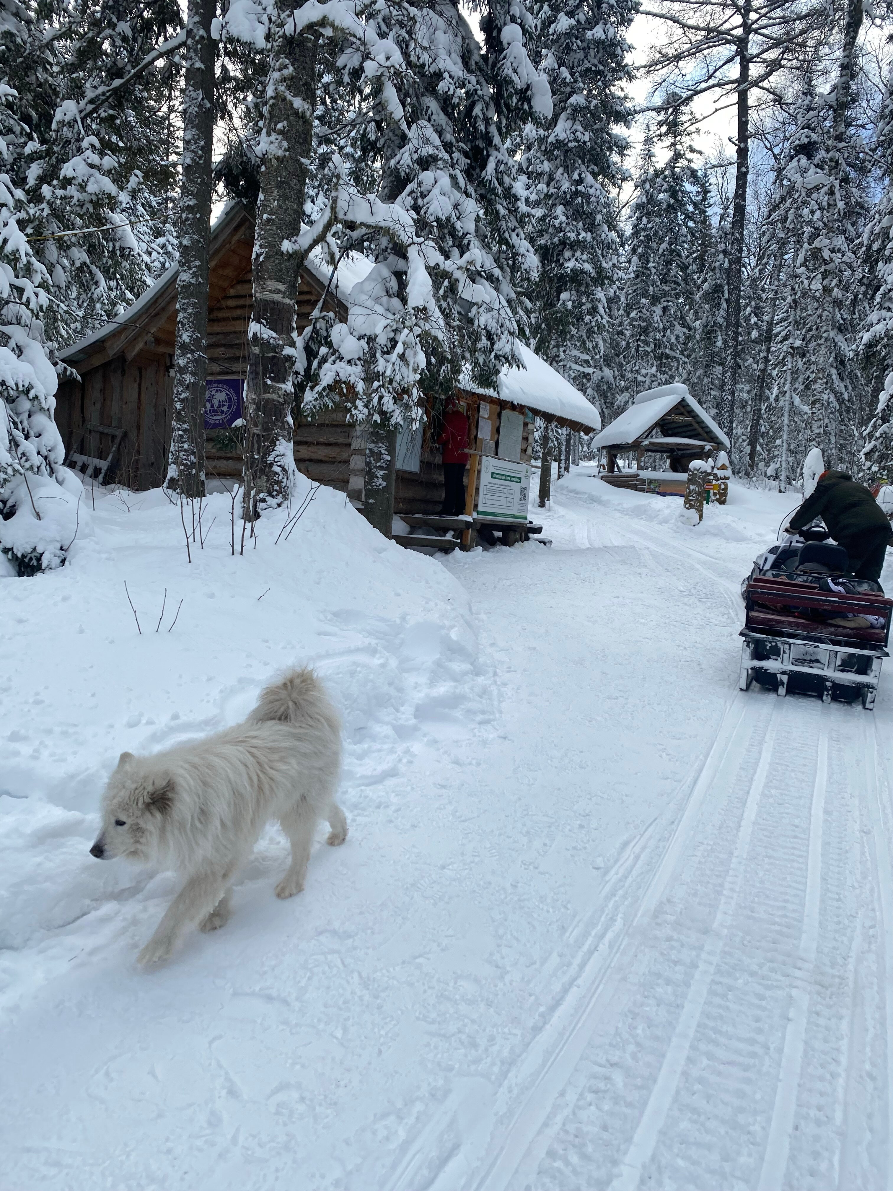 Фото Таежное
