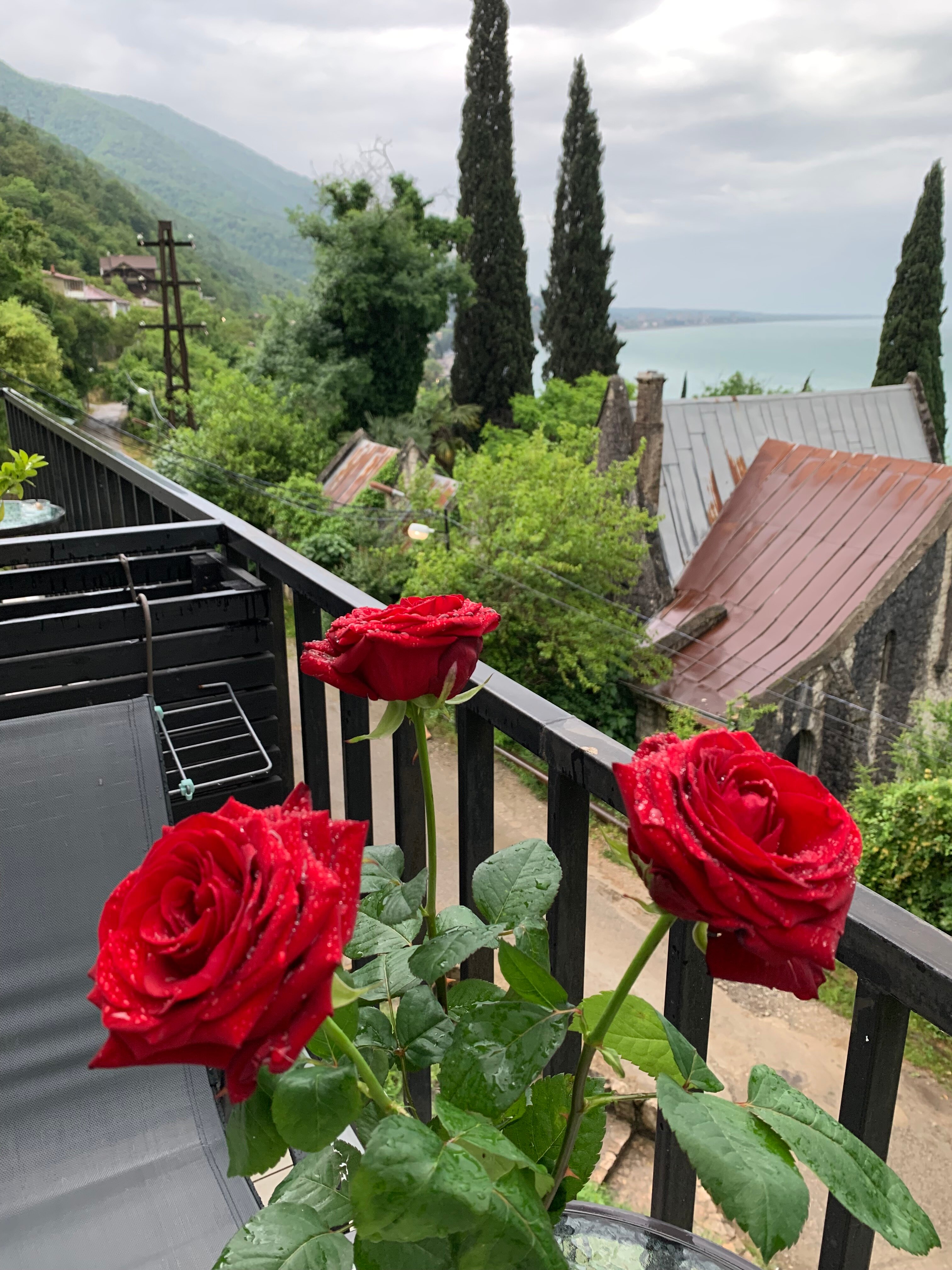 Фото Белый Сад