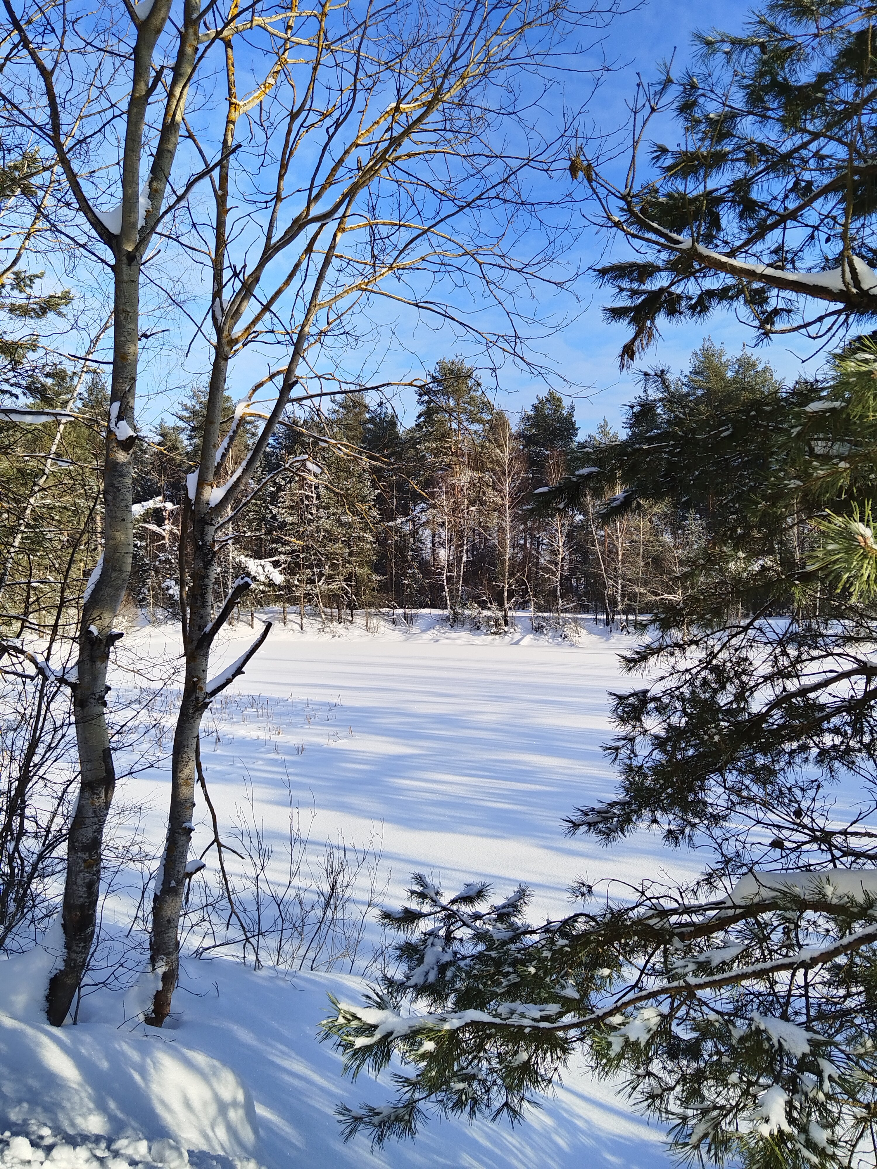 Фото А в лесу