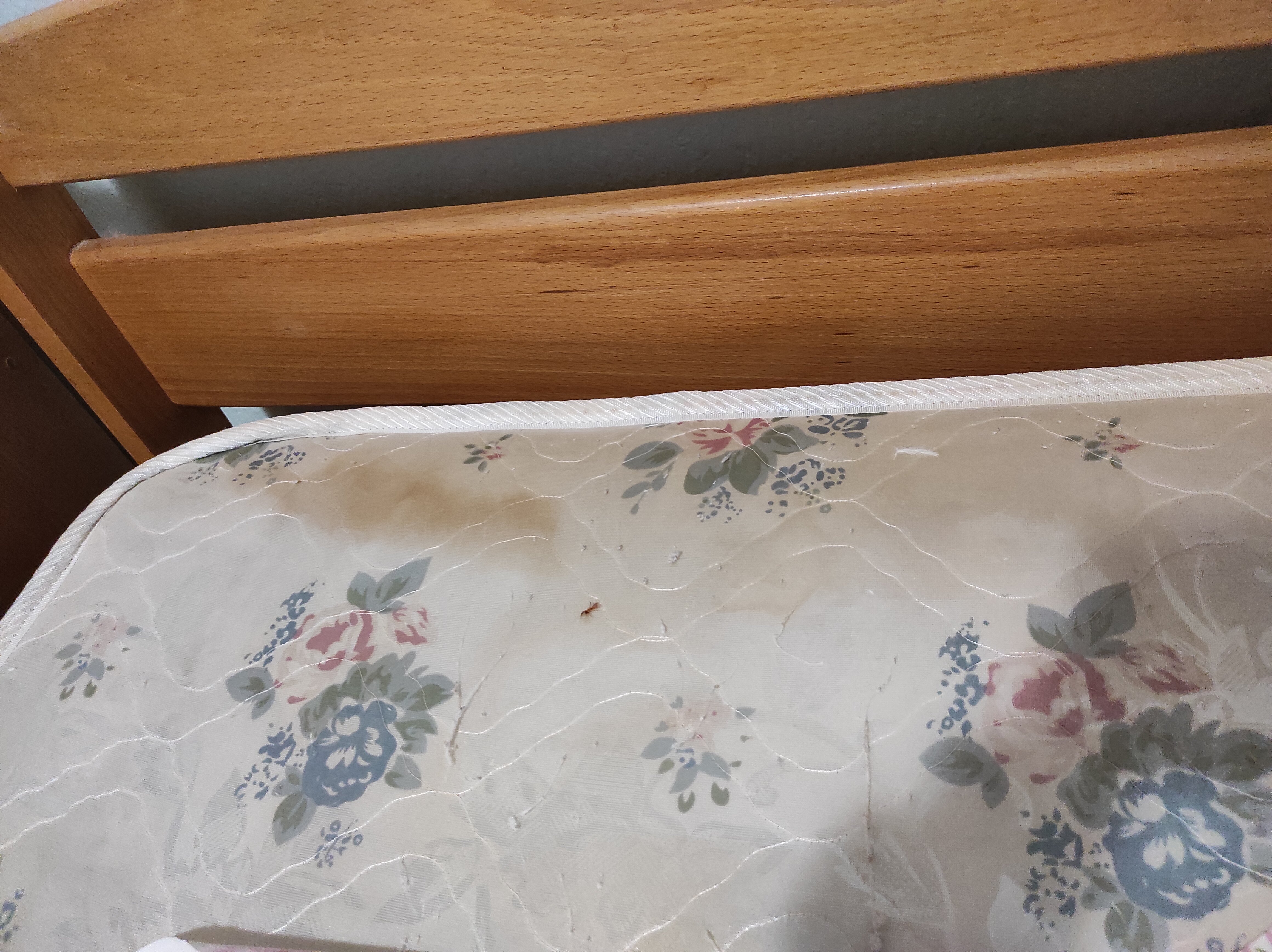 Фото Банановый рай