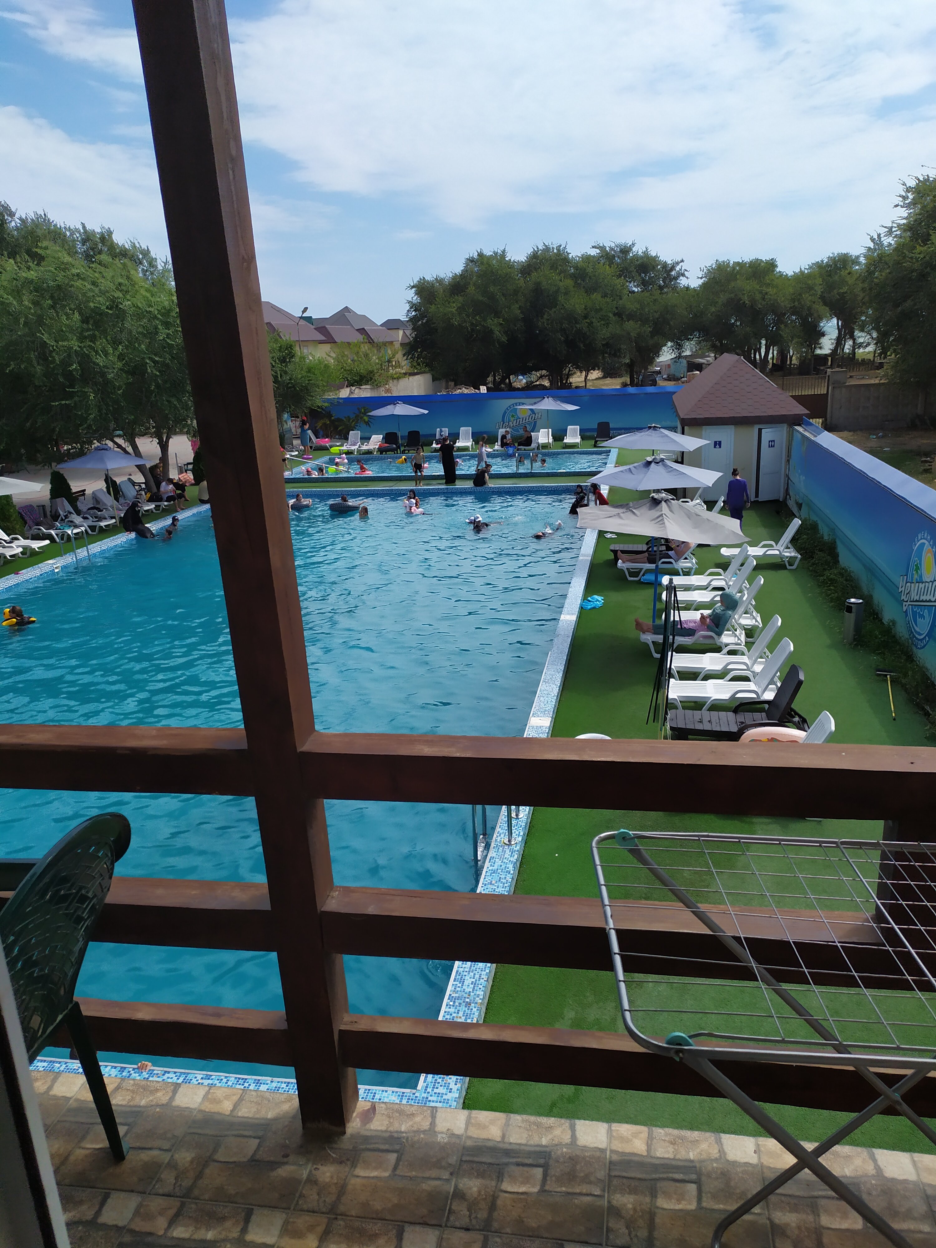 Фото Чемпион