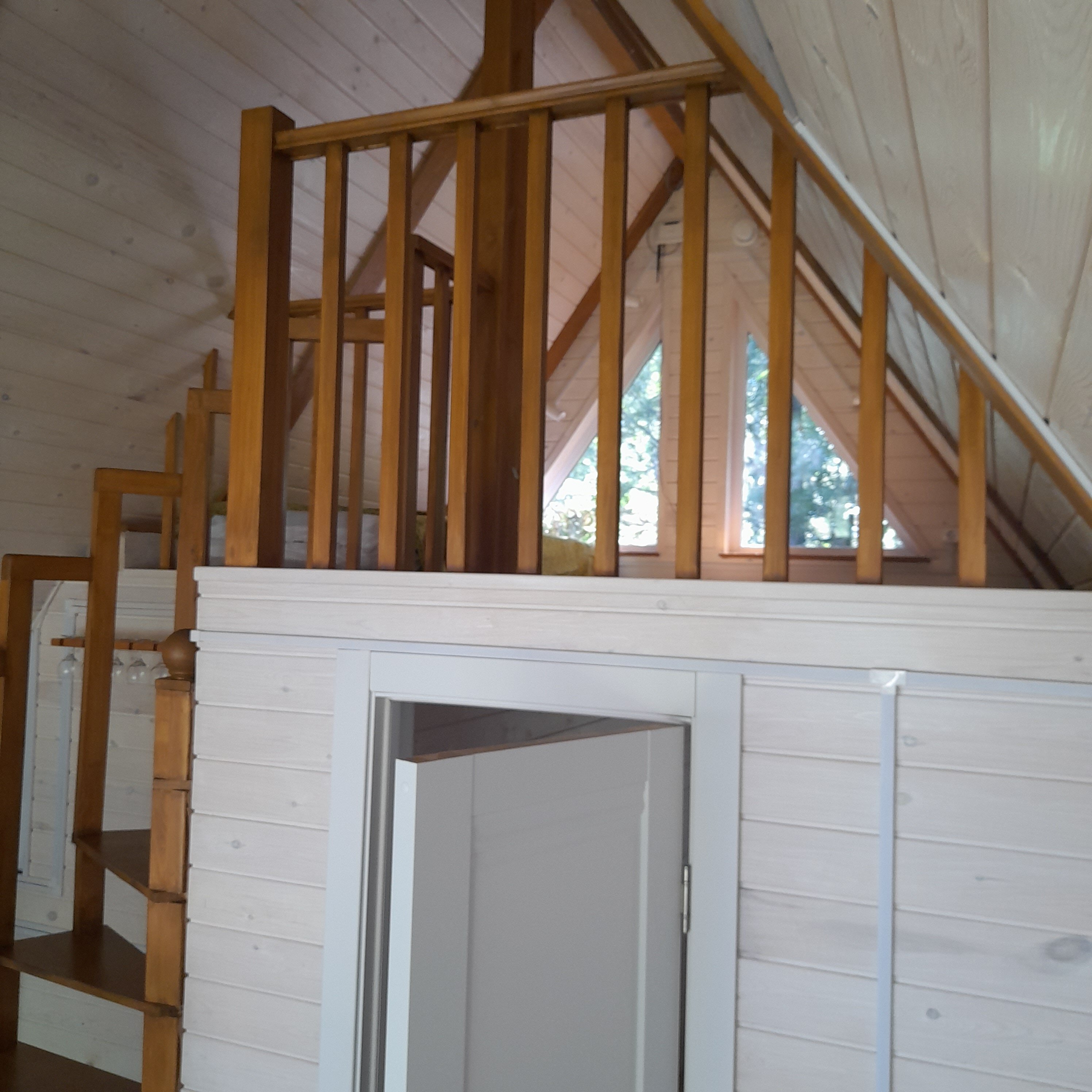 Фото Бурундуки