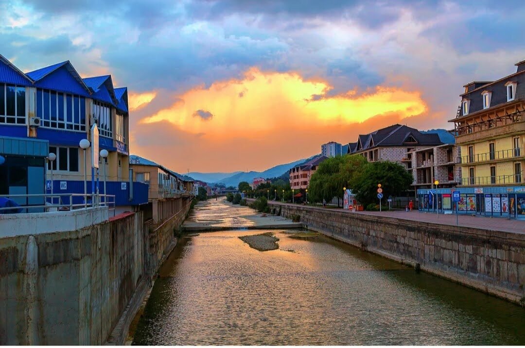 Фото Афалина