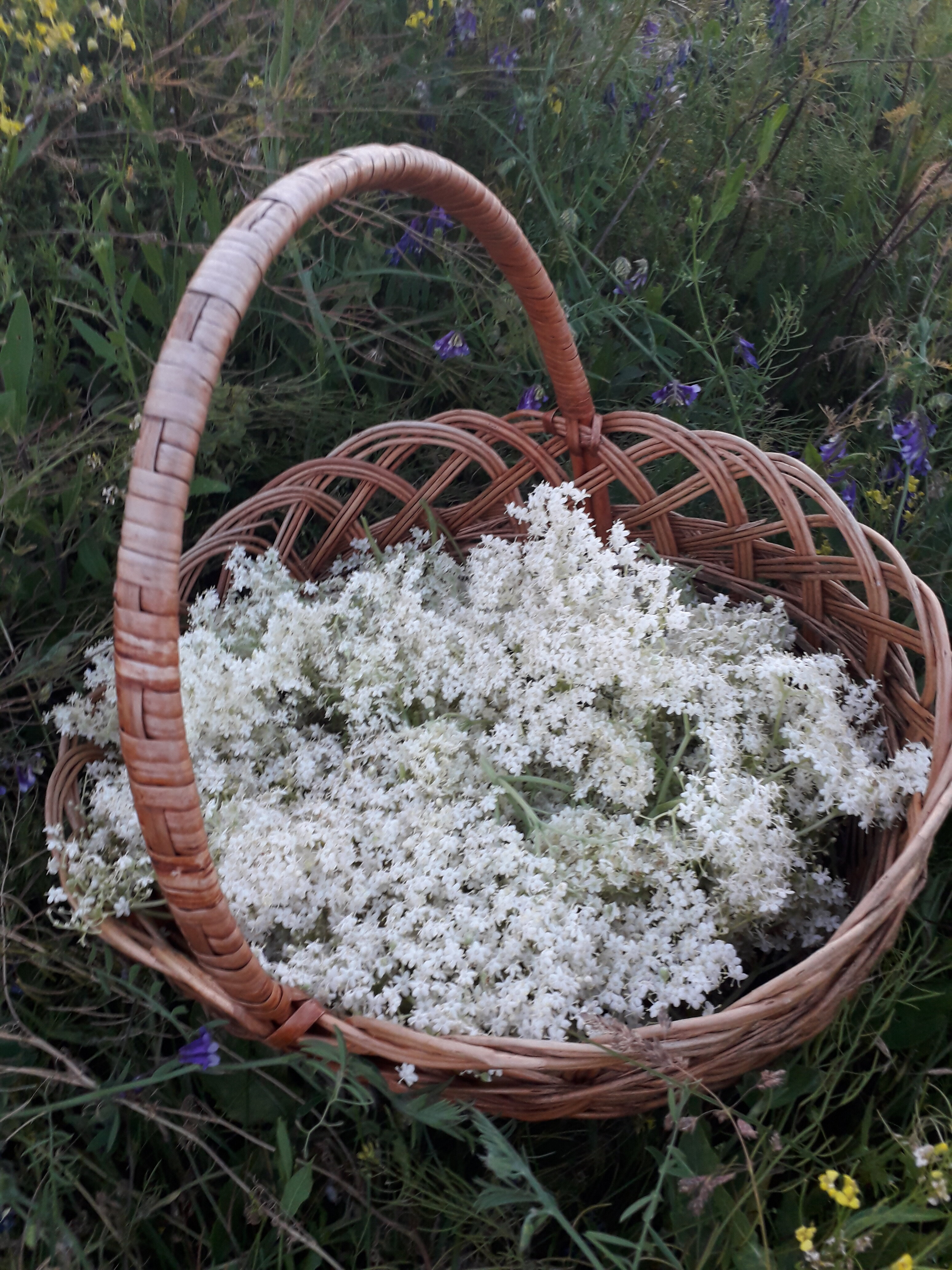 Фото СтепнаяЗдравница