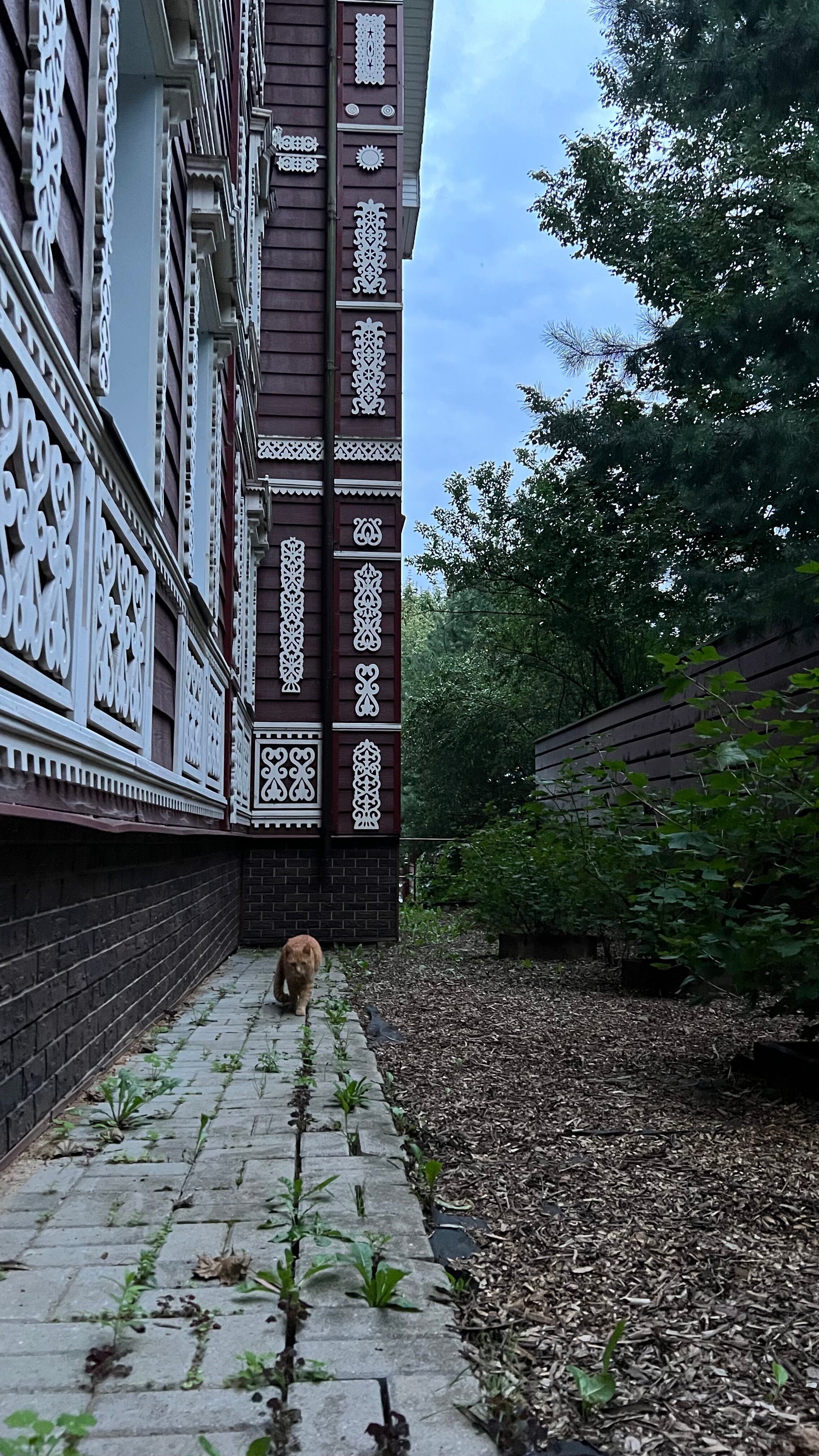 Фото Гостевая изба на Истре