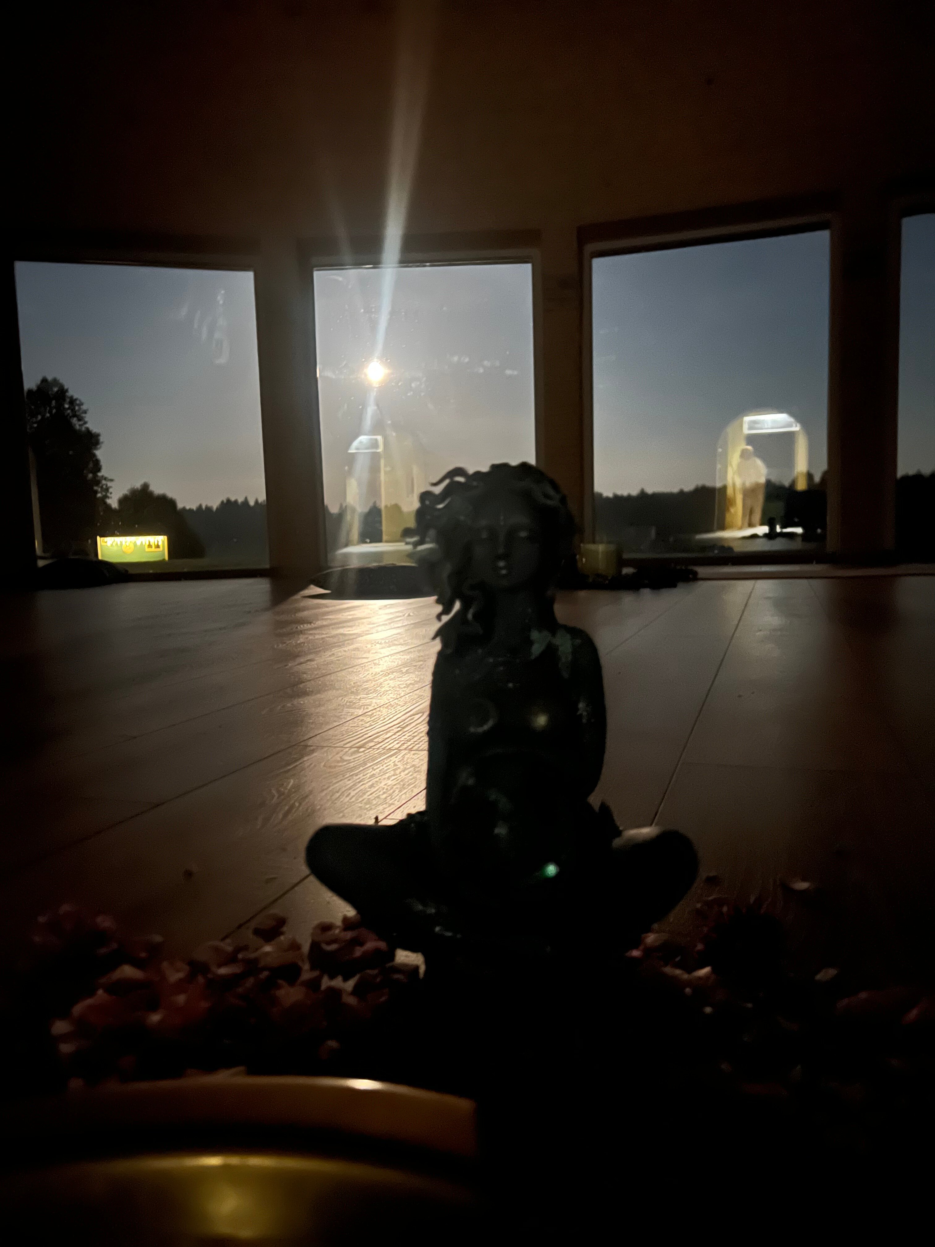 Фото Медведица Шанти