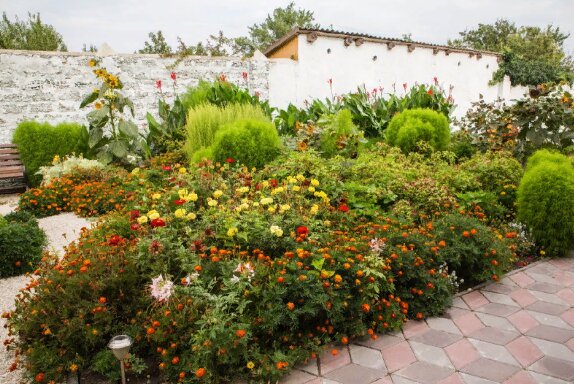 Фото Светлана