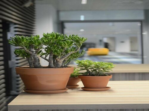 Гостиница Lodge In MIS в Иври-сюре-Сене