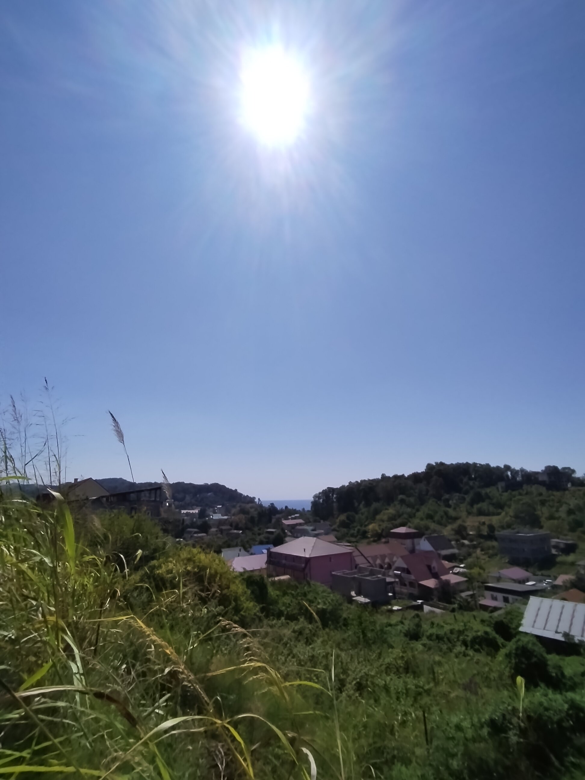 Фото Белые Росы