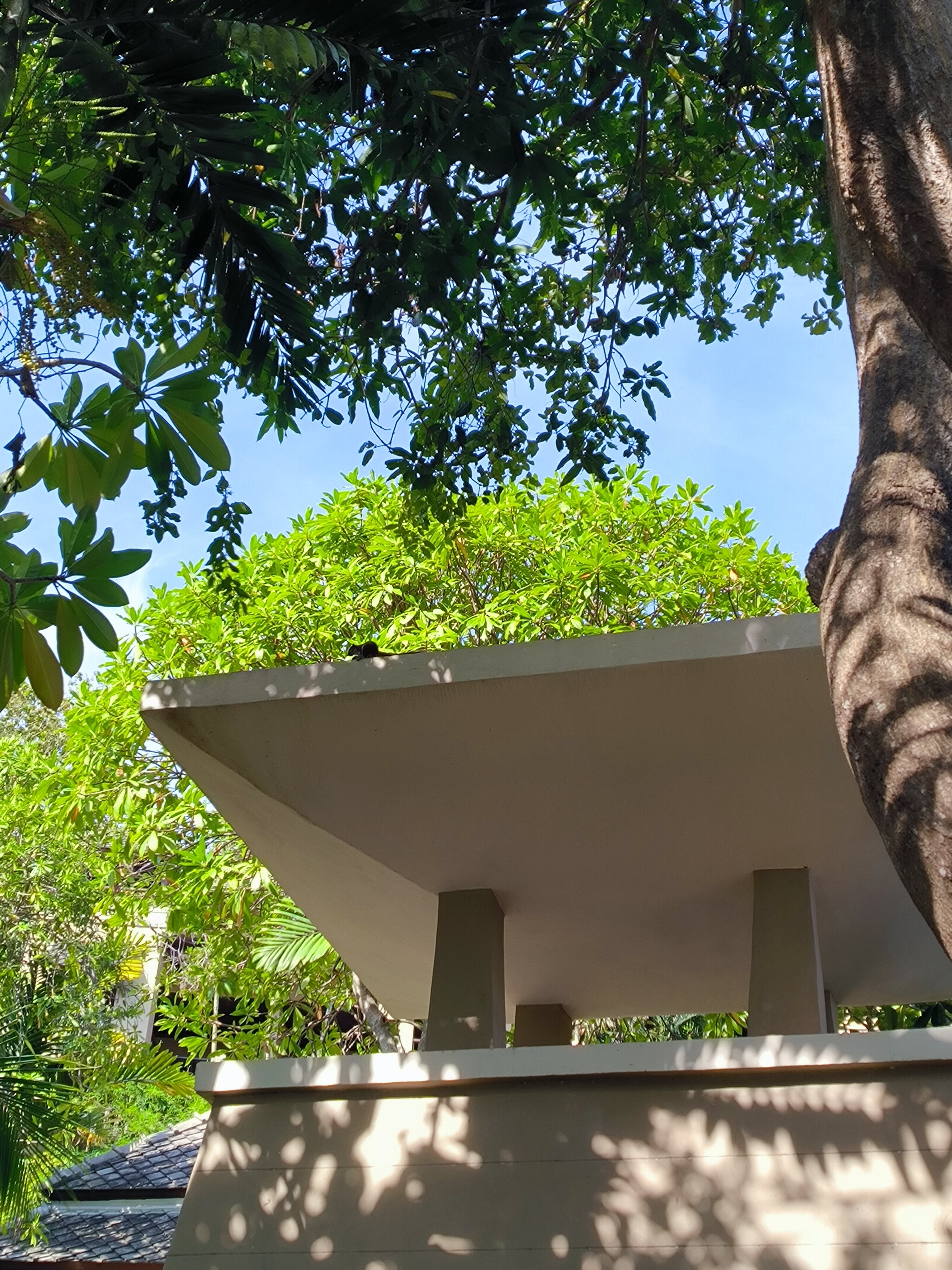 Фото Fair House Villas & SPA