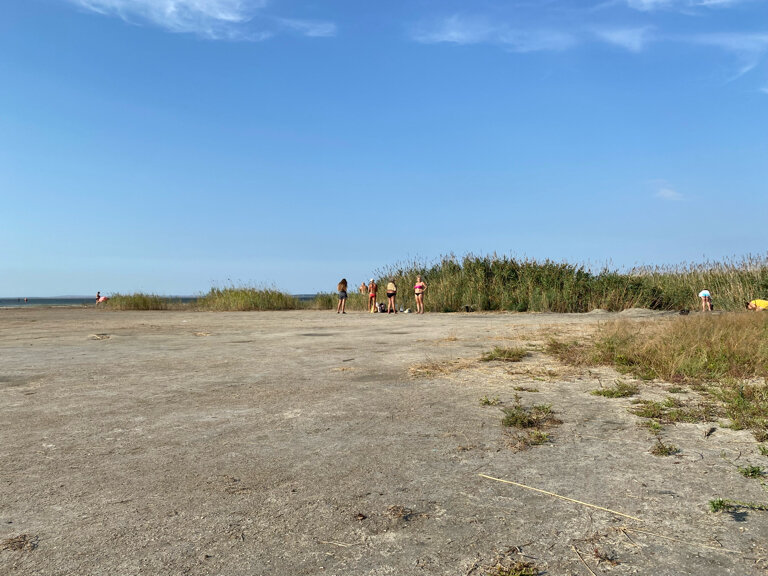 Фото Владис