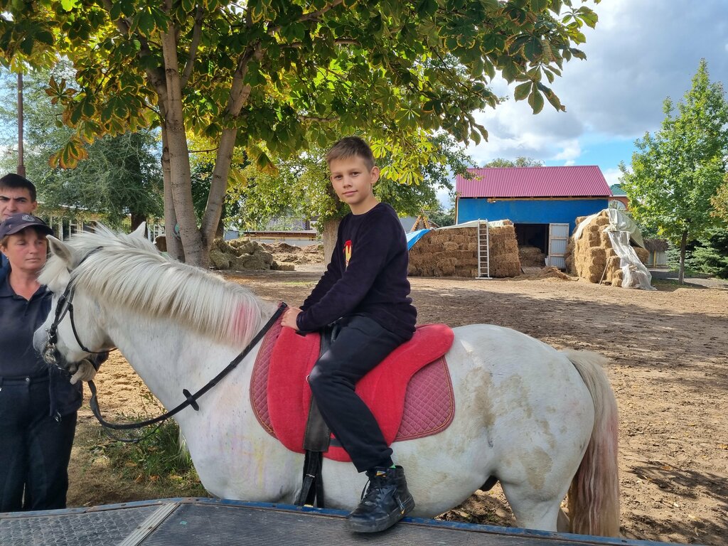 At ve binicilik kulüpleri Horse Riding, Samara, foto