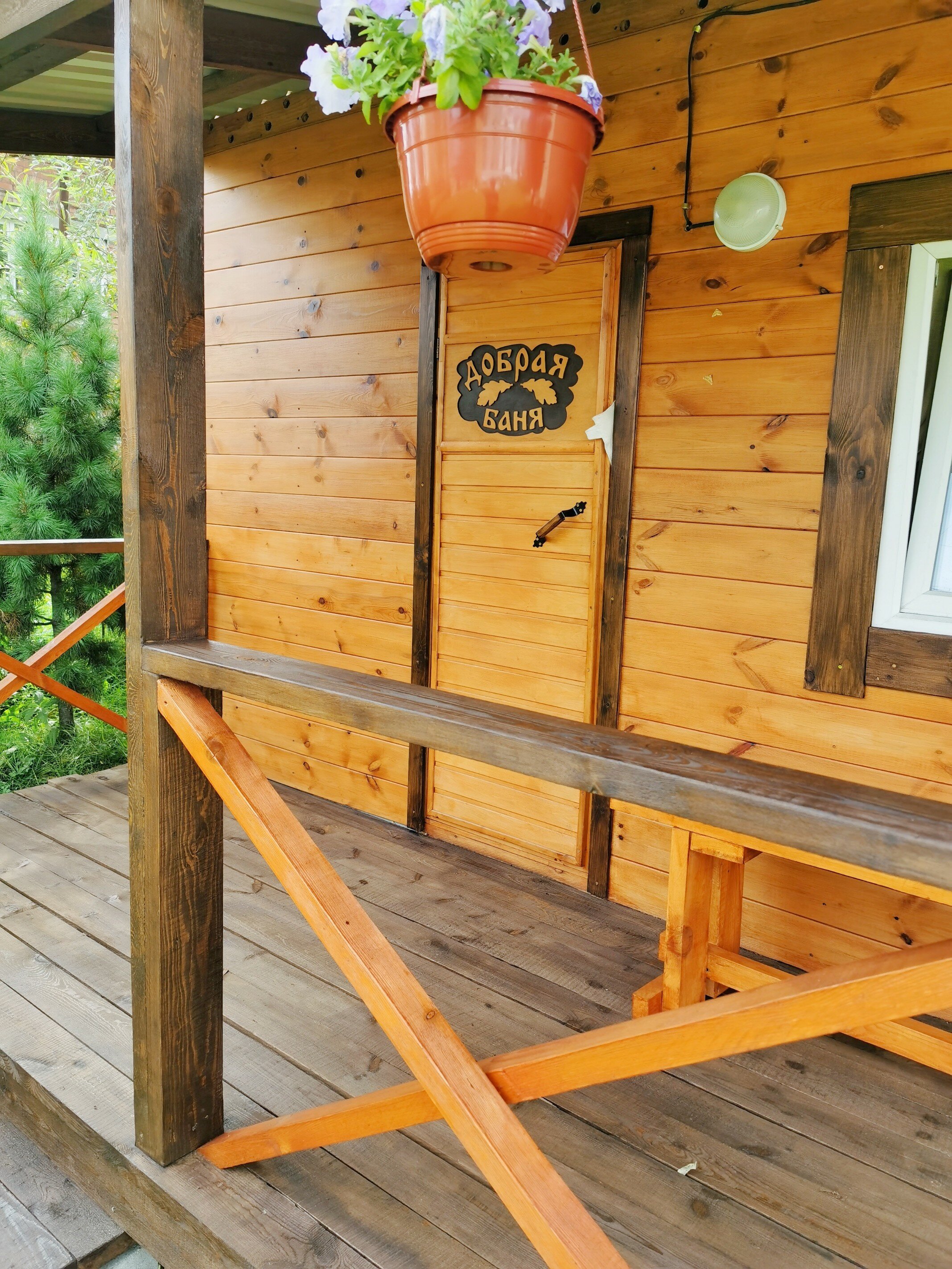 Фото Уютная Лиса