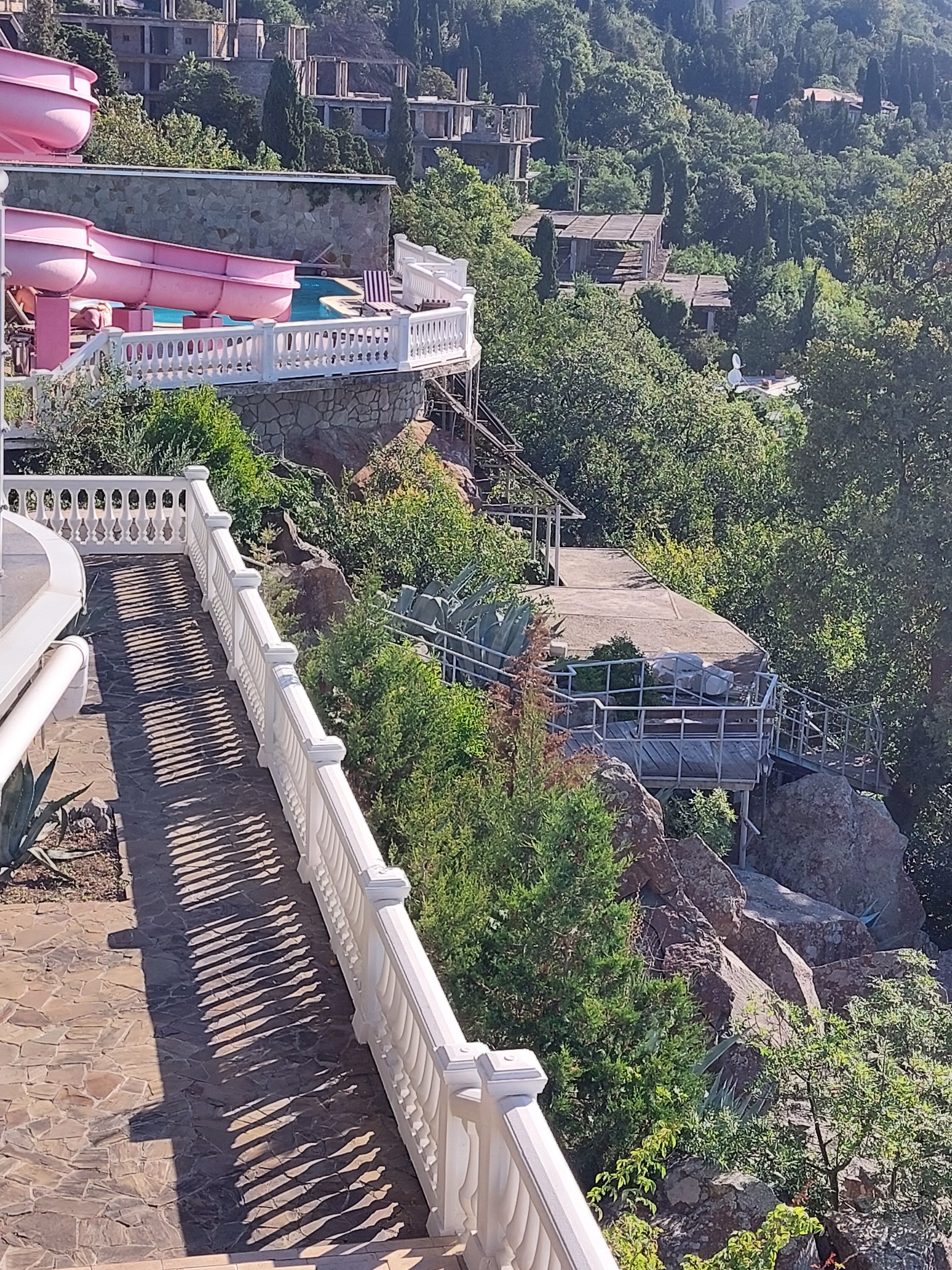 Фото Алубика