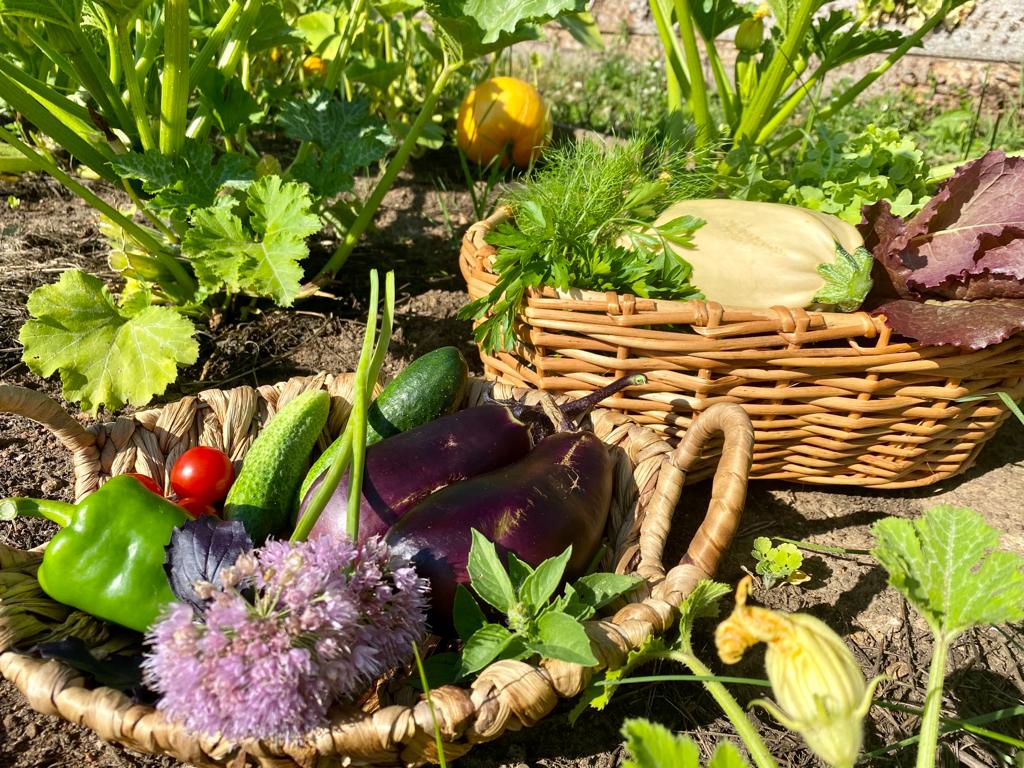 Фото Арт Хаус