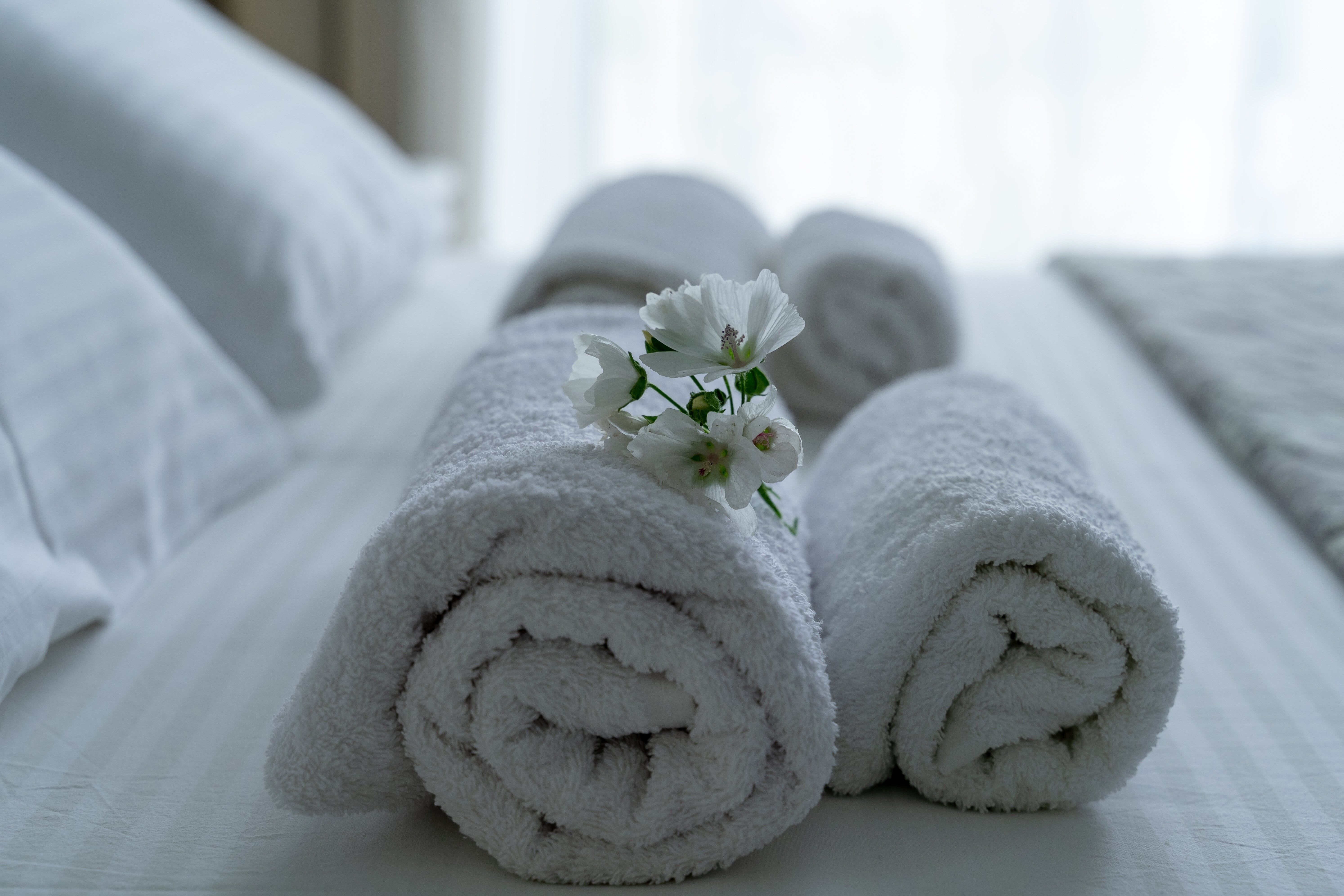 Фото Мещерский край