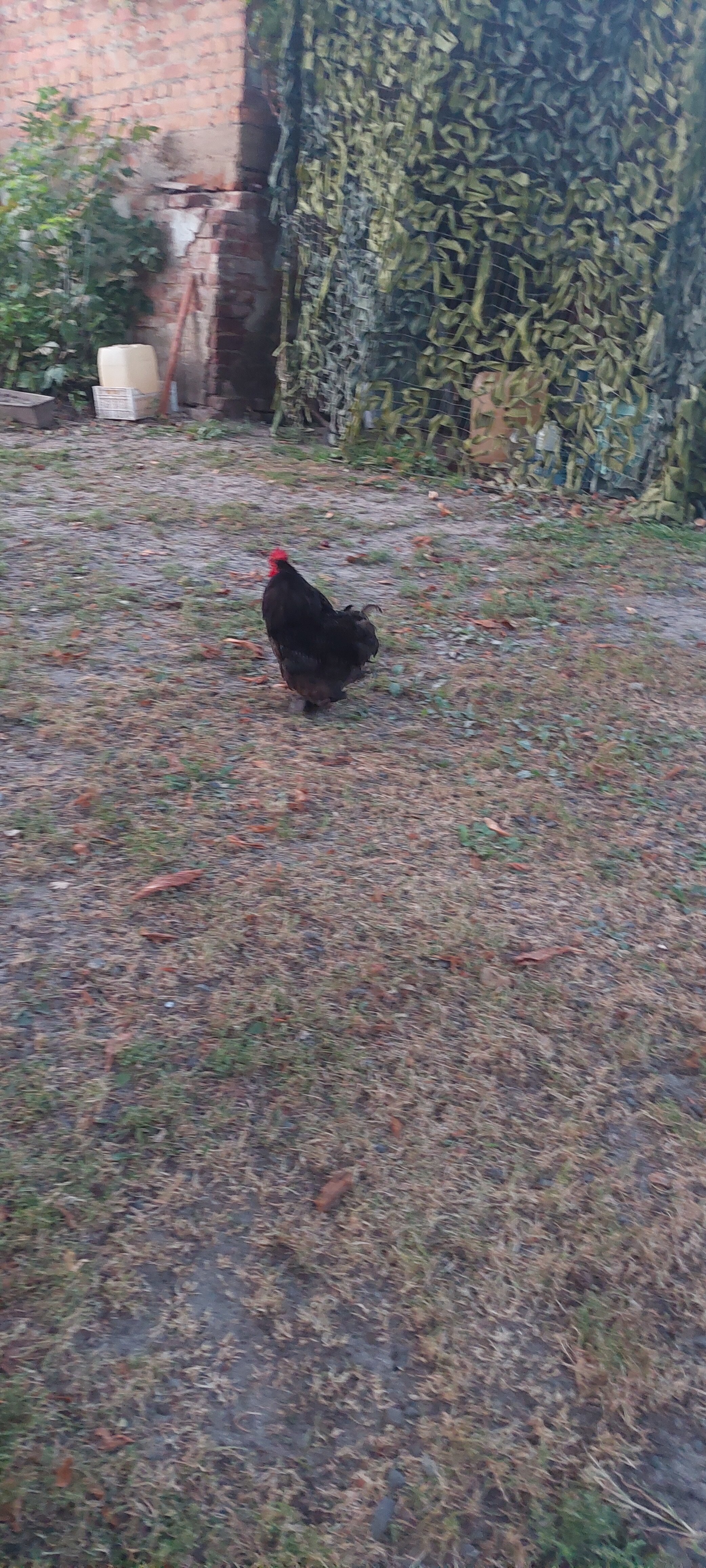 Фото Гостиный двор Рыбачий