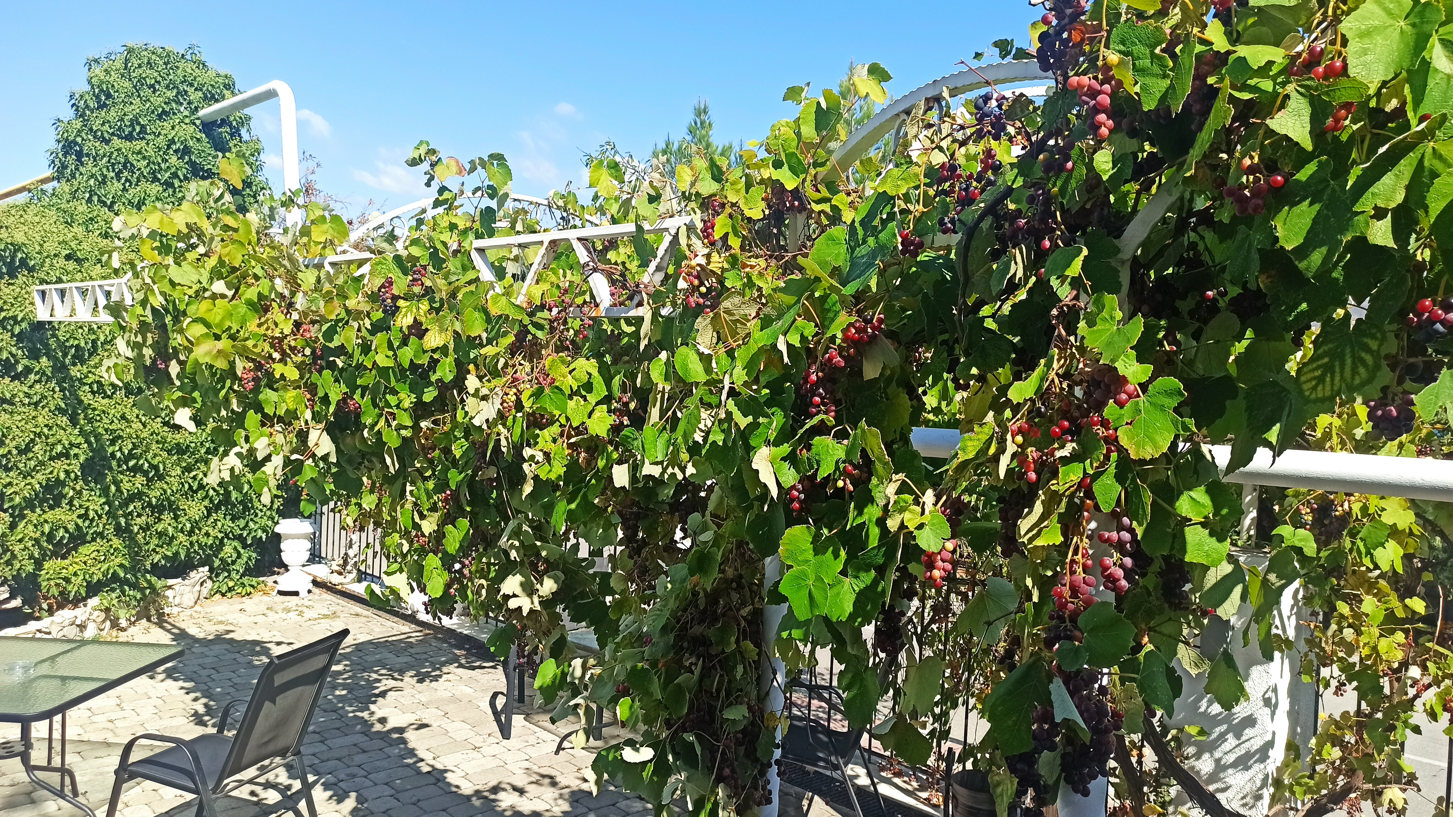 Фото Людмила